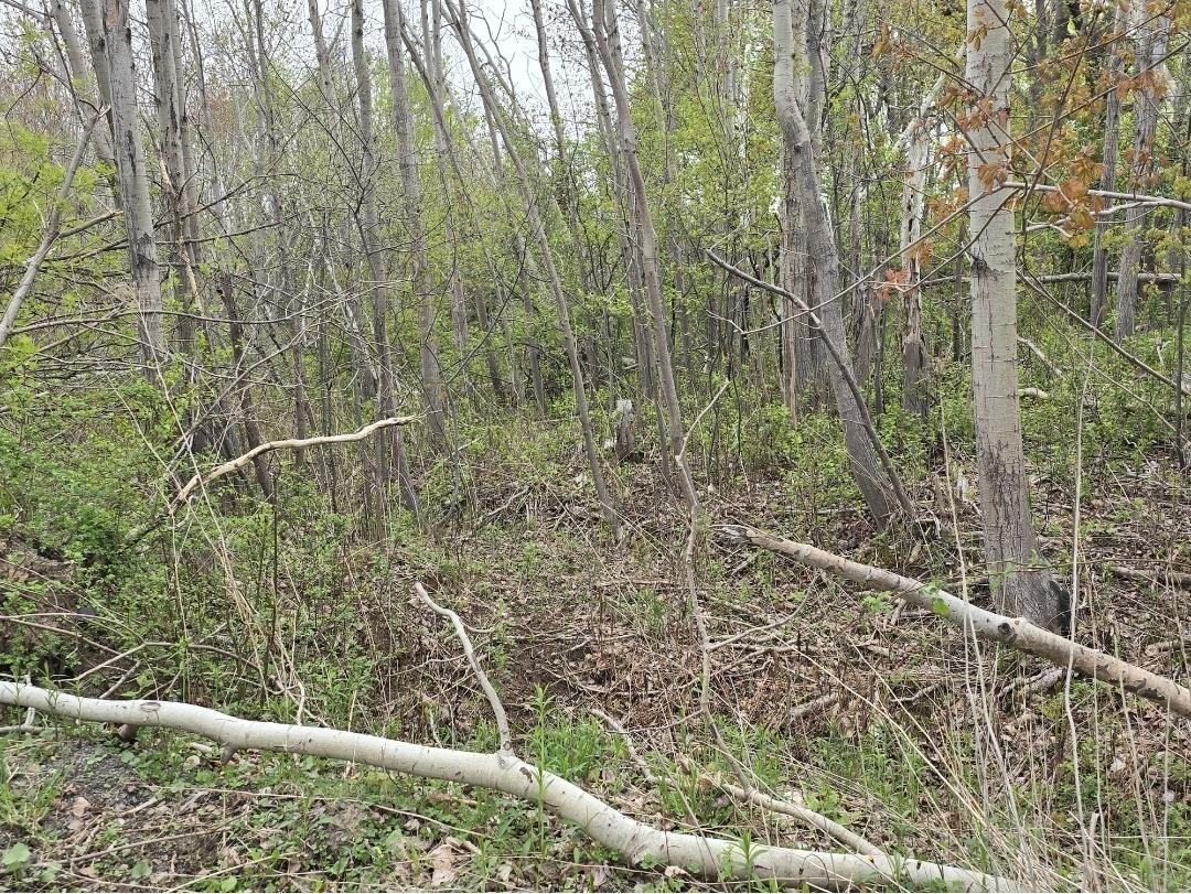 $35,000.00: Double Lot 2 Brook Street, Trenton