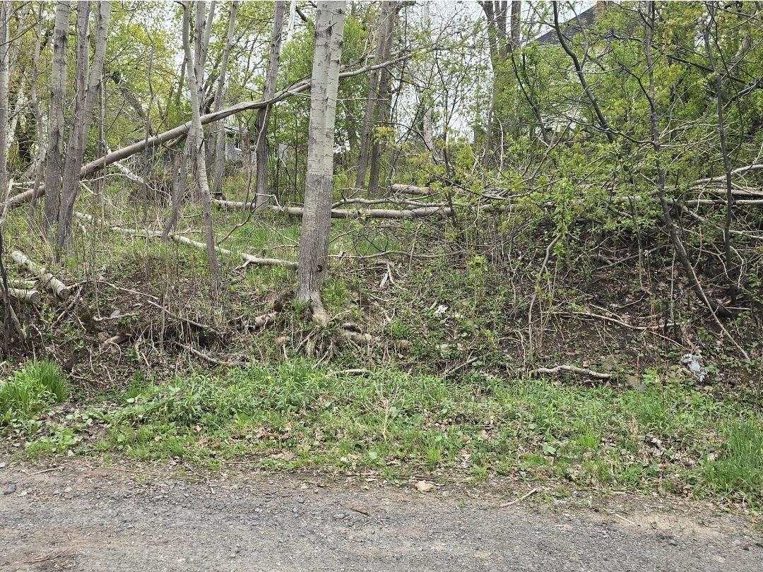 $35,000.00: Double Lot 2 Brook Street, Trenton