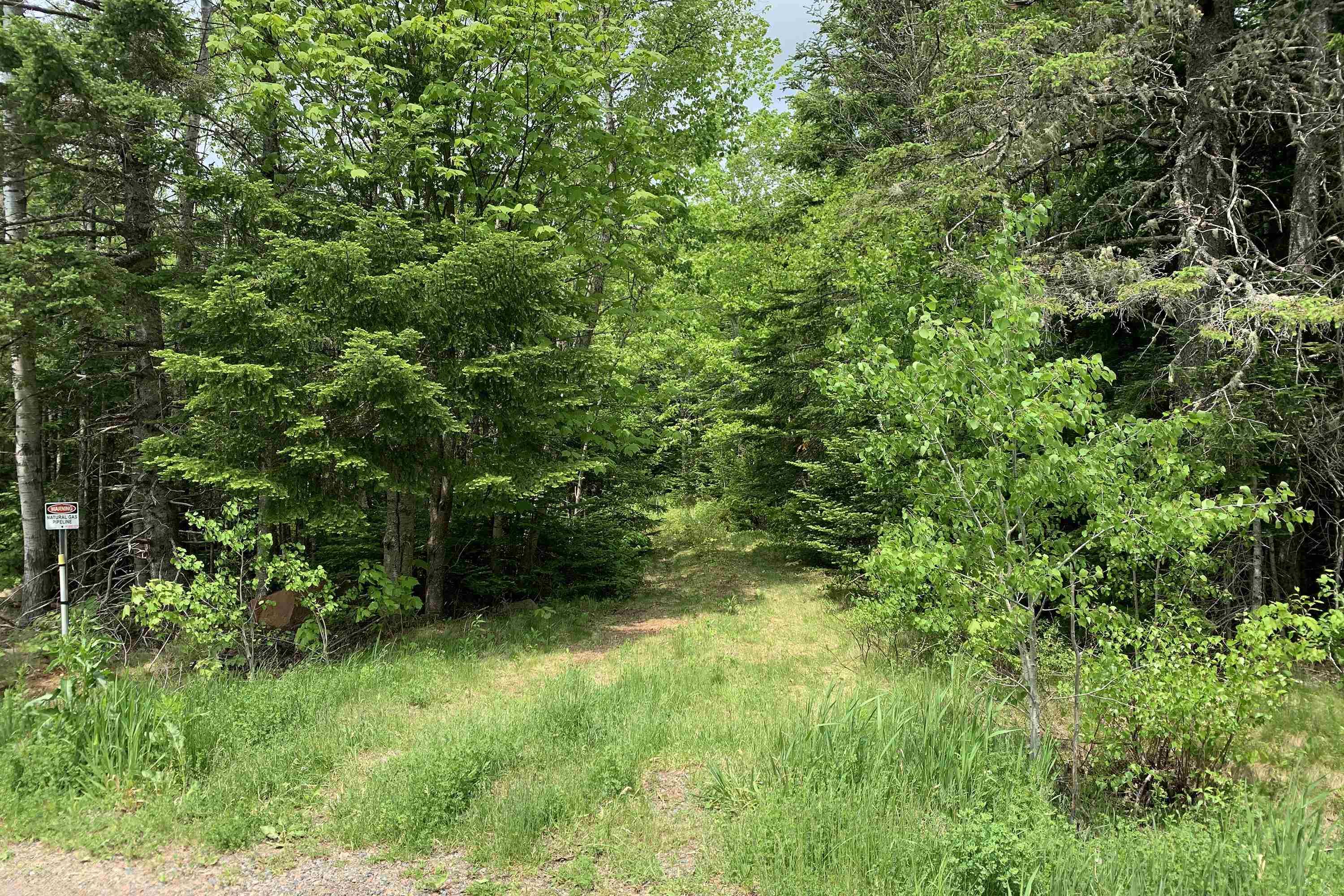 $37,500.00: Lot 6 Highway 321, Roslin