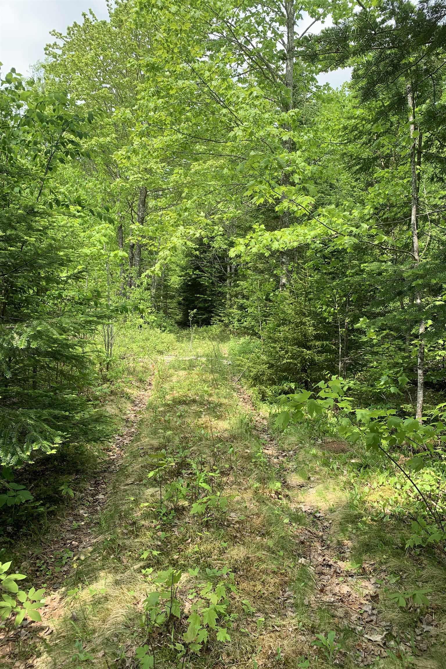 $37,500.00: Lot 6 Highway 321, Roslin
