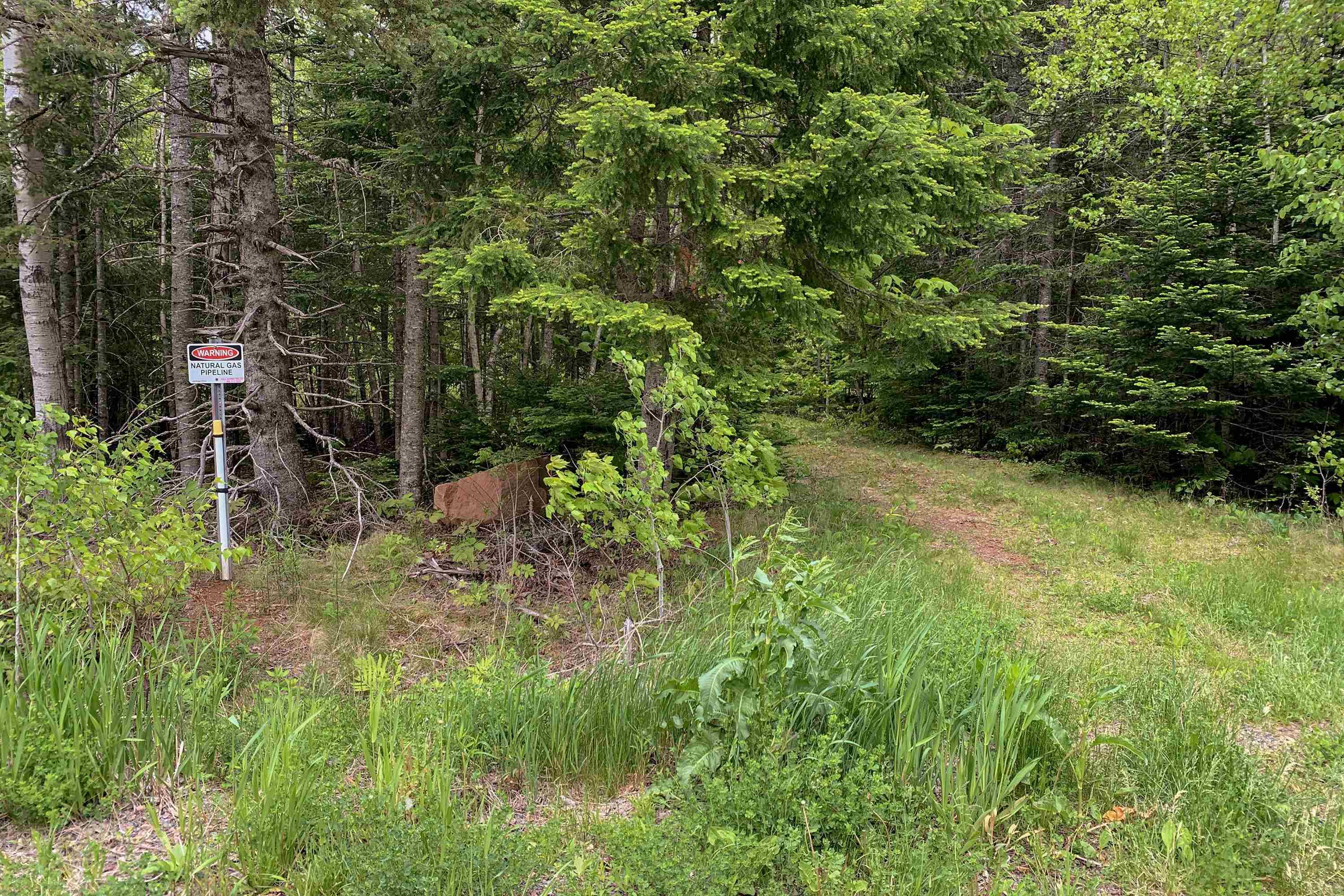 $37,500.00: Lot 6 Highway 321, Roslin