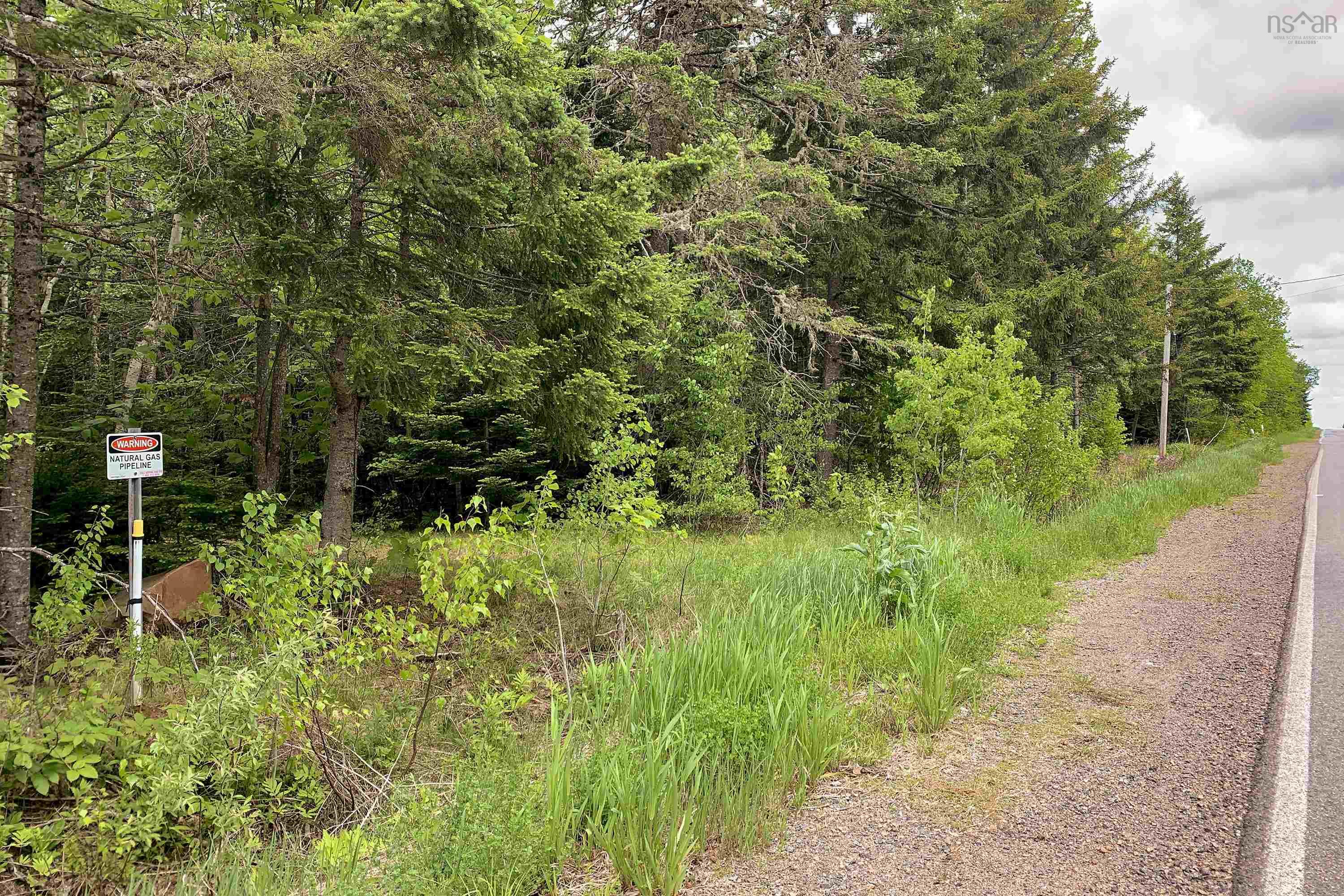 $37,500.00: Lot 6 Highway 321, Roslin