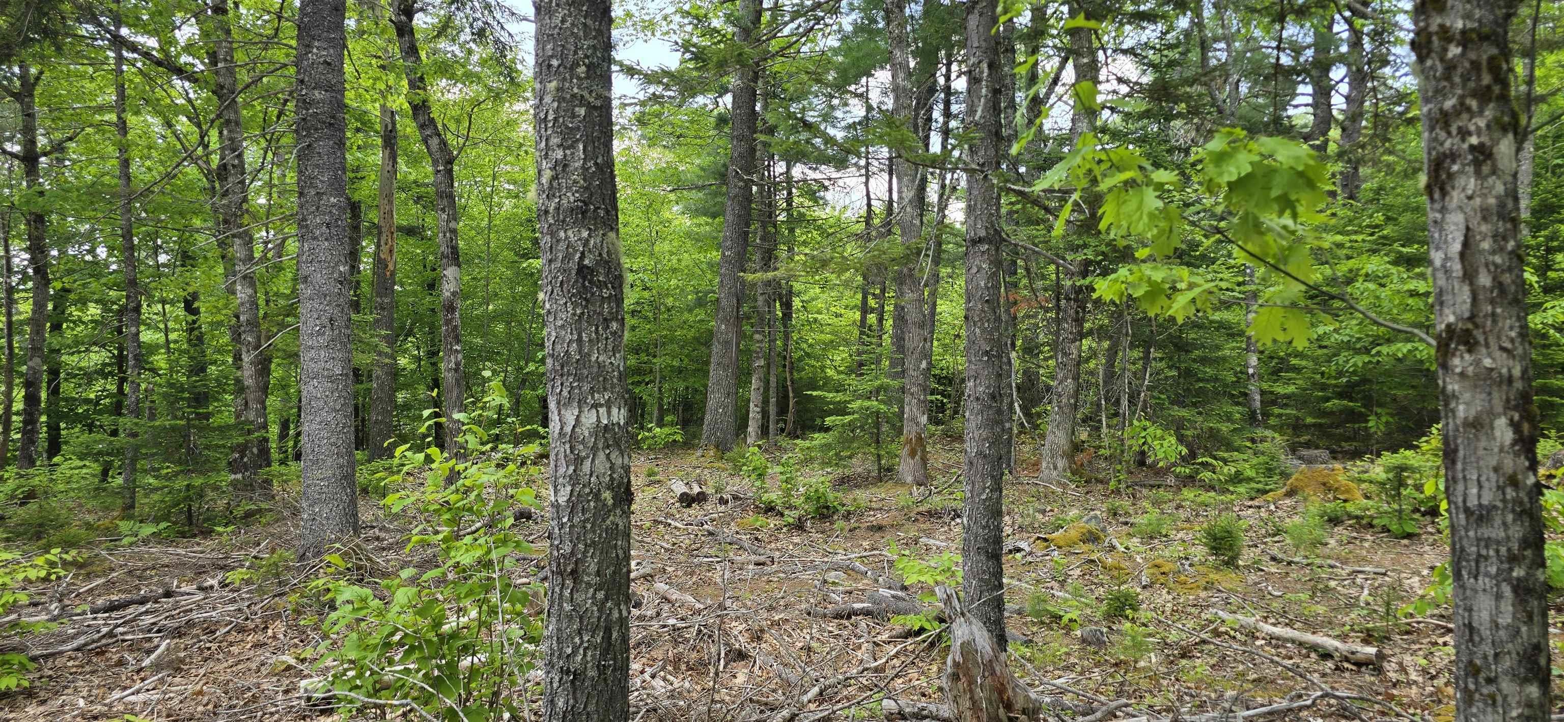 $39,900.00: Lot 24-1 East Clifford Road, East Clifford