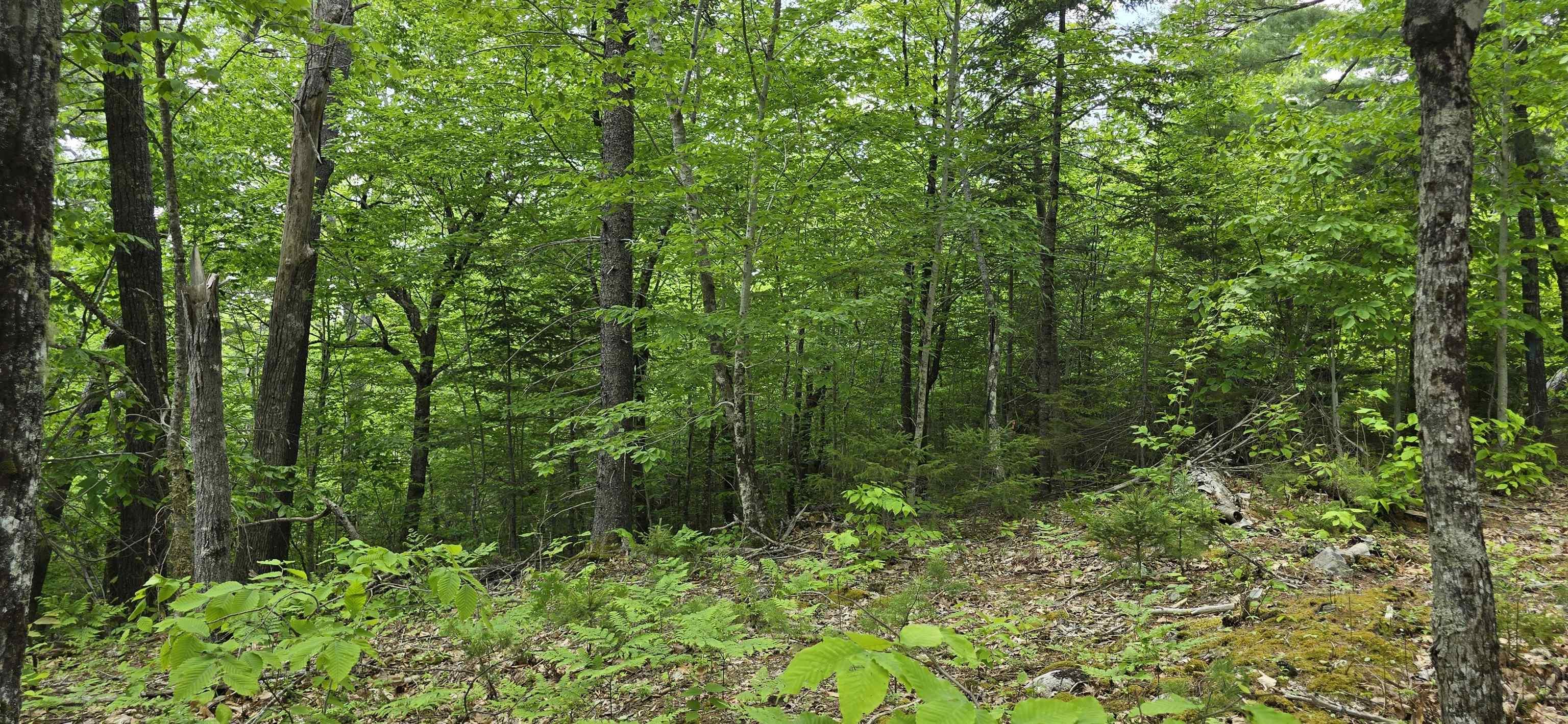 $39,900.00: Lot 24-1 East Clifford Road, East Clifford