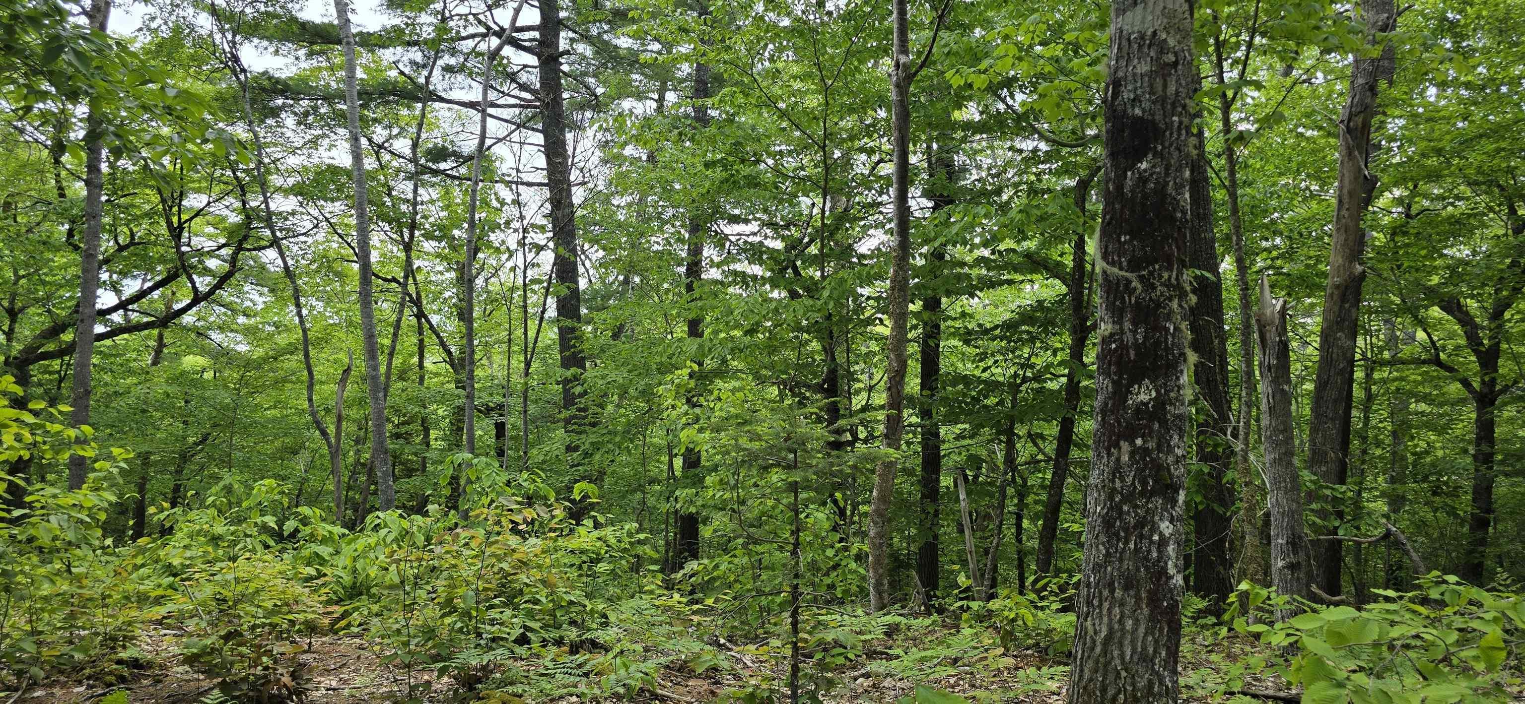 $39,900.00: Lot 24-1 East Clifford Road, East Clifford