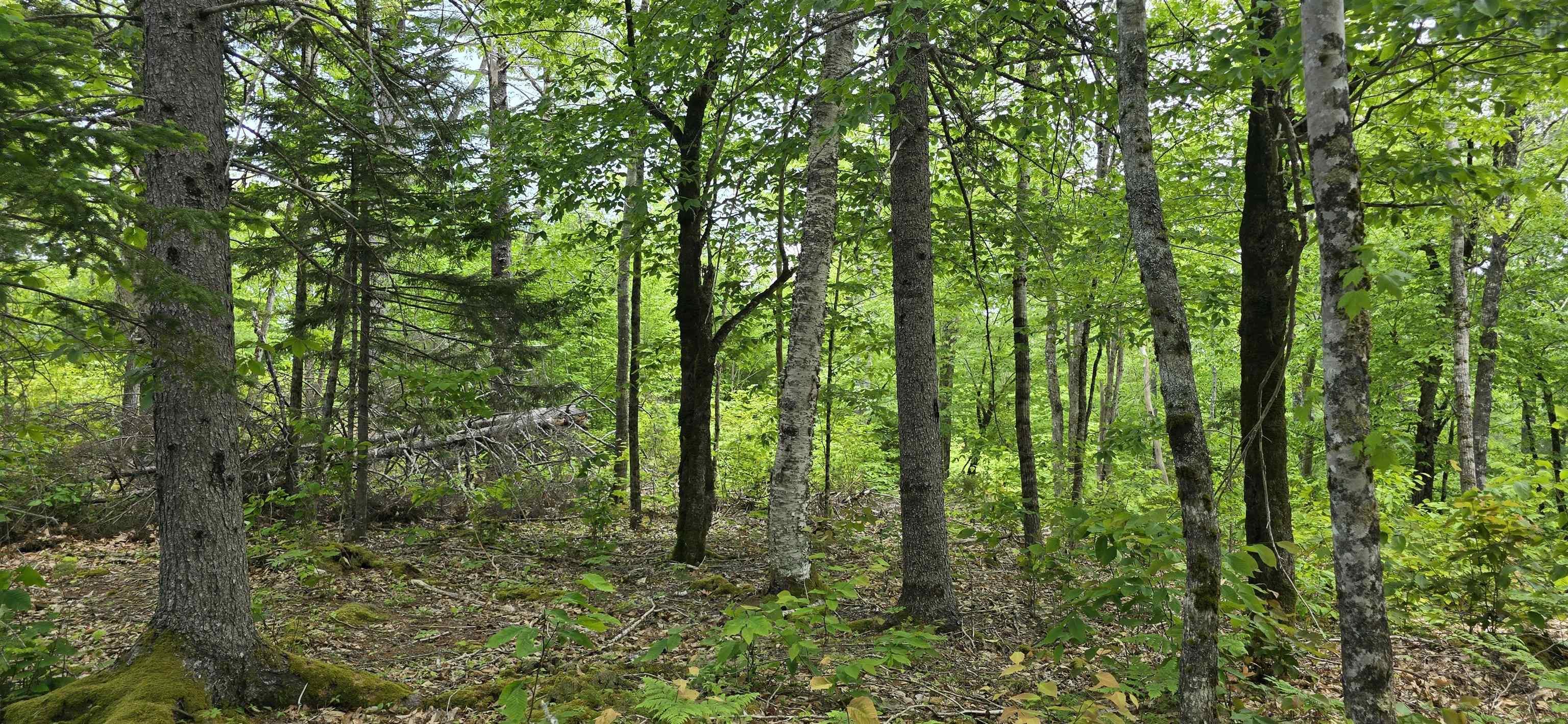 $39,900.00: Lot 24-1 East Clifford Road, East Clifford