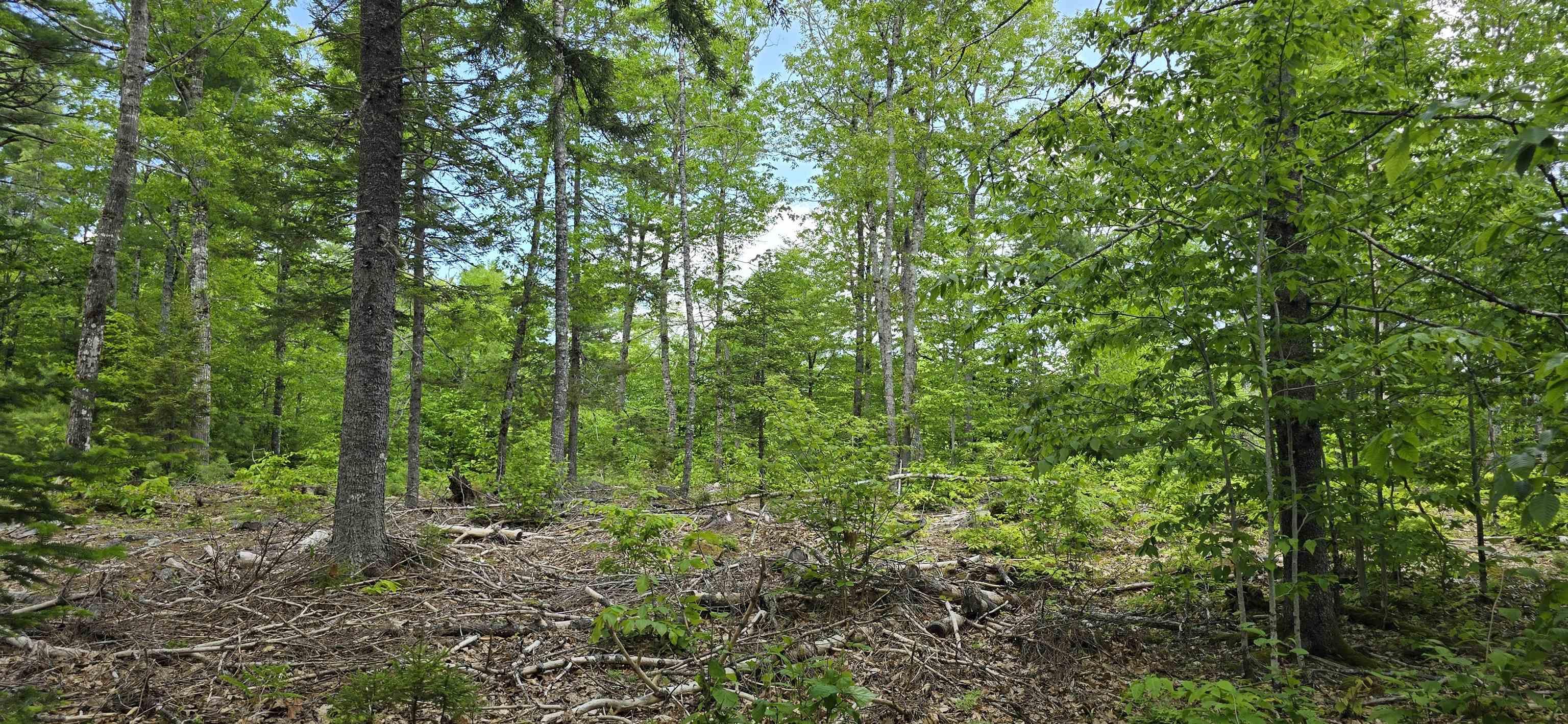 $39,900.00: Lot 24-1 East Clifford Road, East Clifford