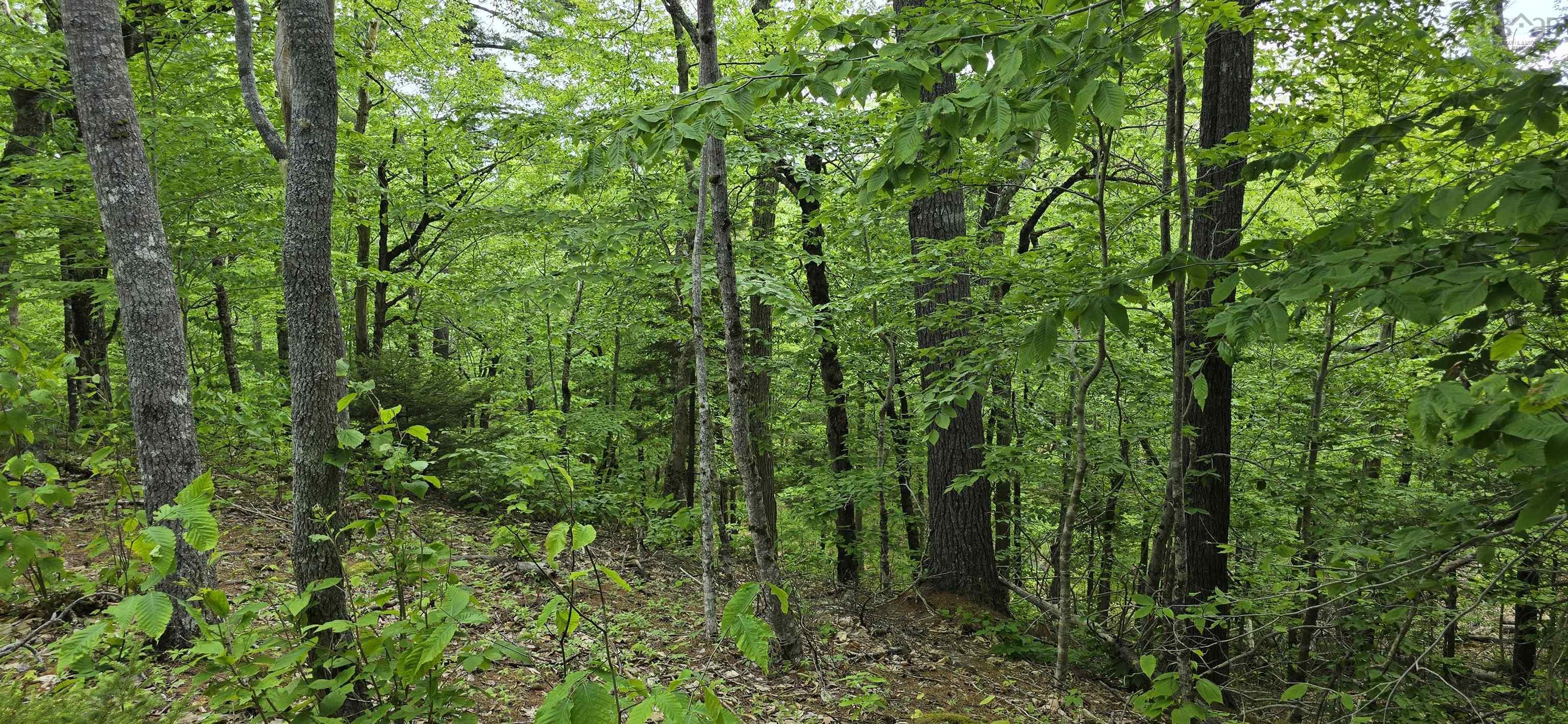 $39,900.00: Lot 24-1 East Clifford Road, East Clifford