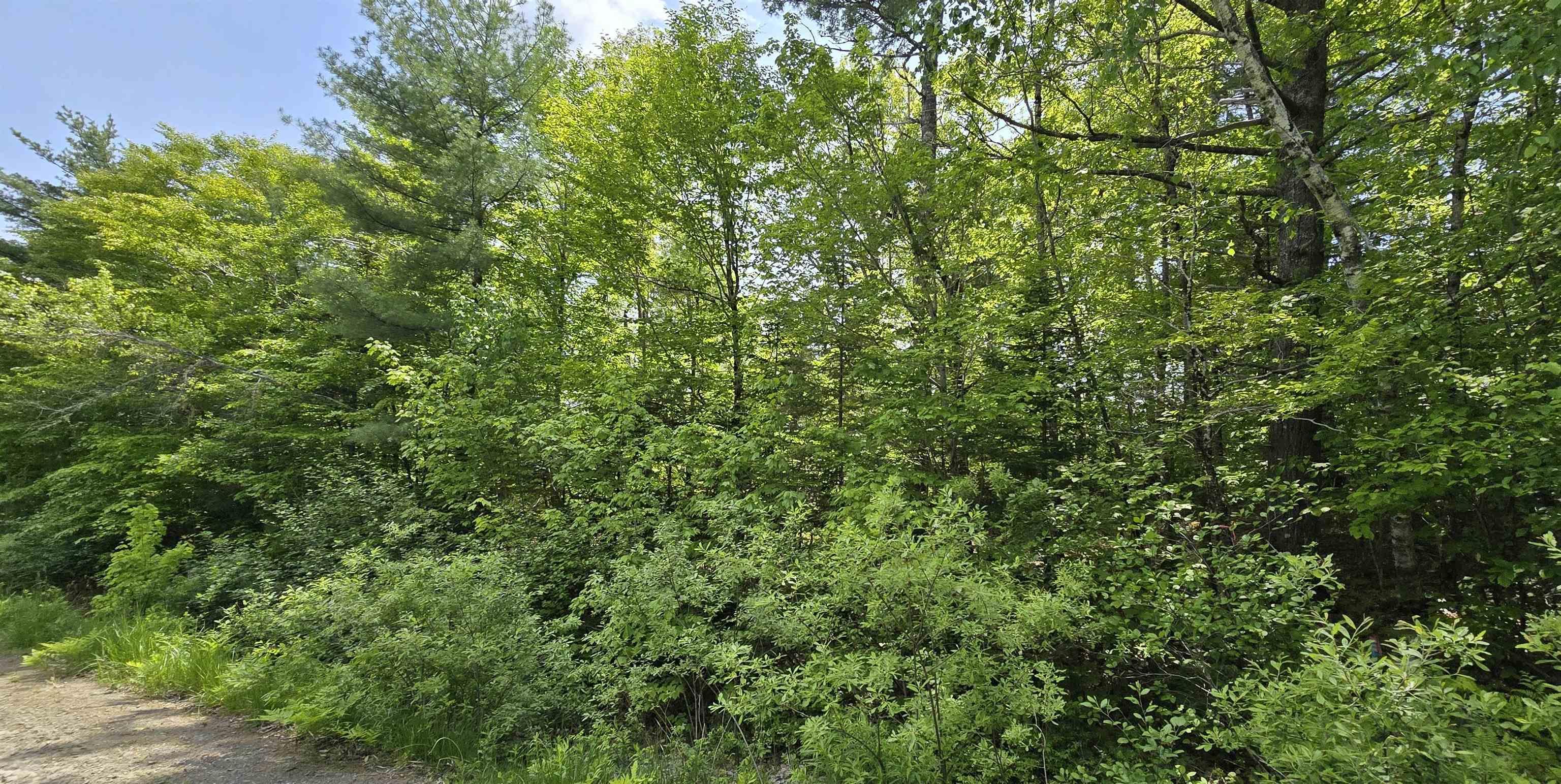 $39,900.00: Lot 24-1 East Clifford Road, East Clifford