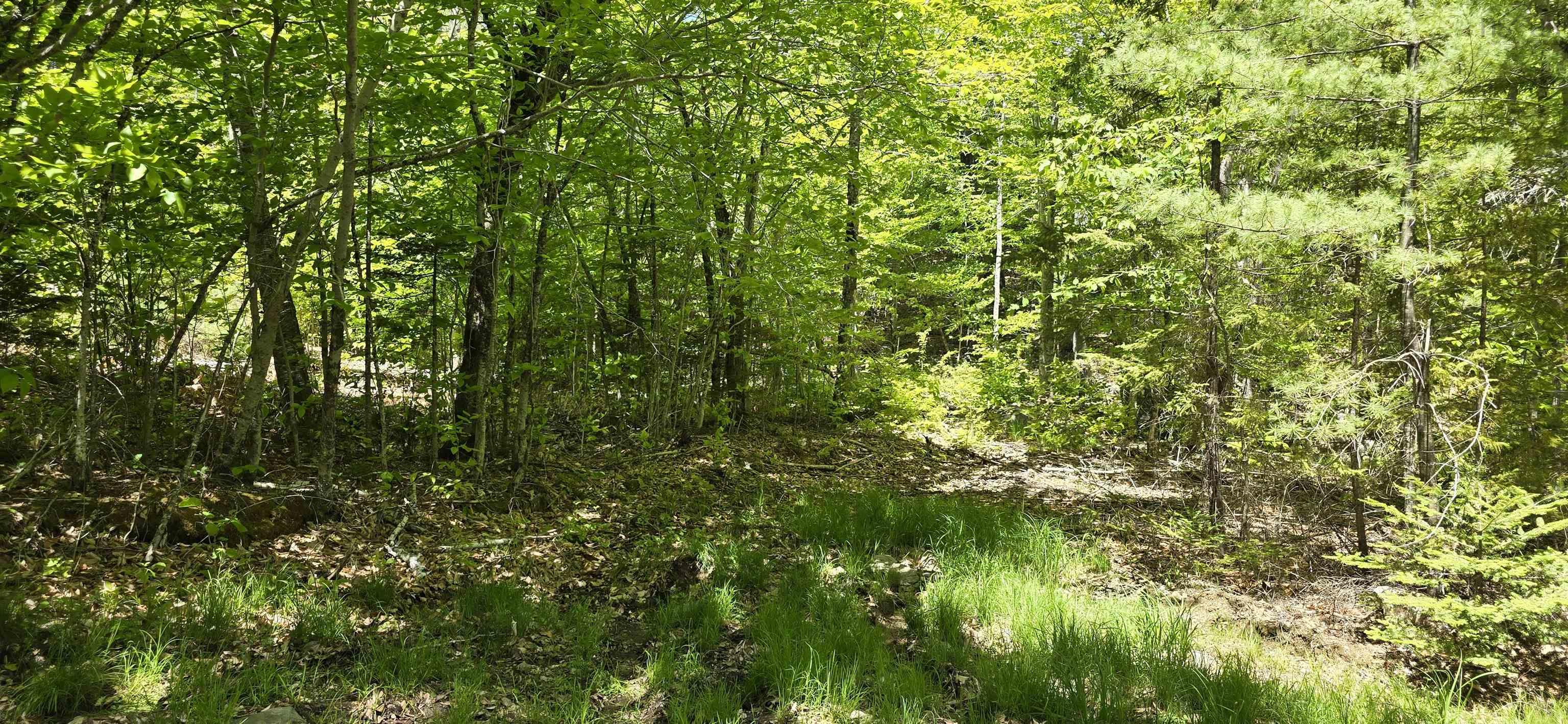 $39,900.00: Lot 24-1 East Clifford Road, East Clifford