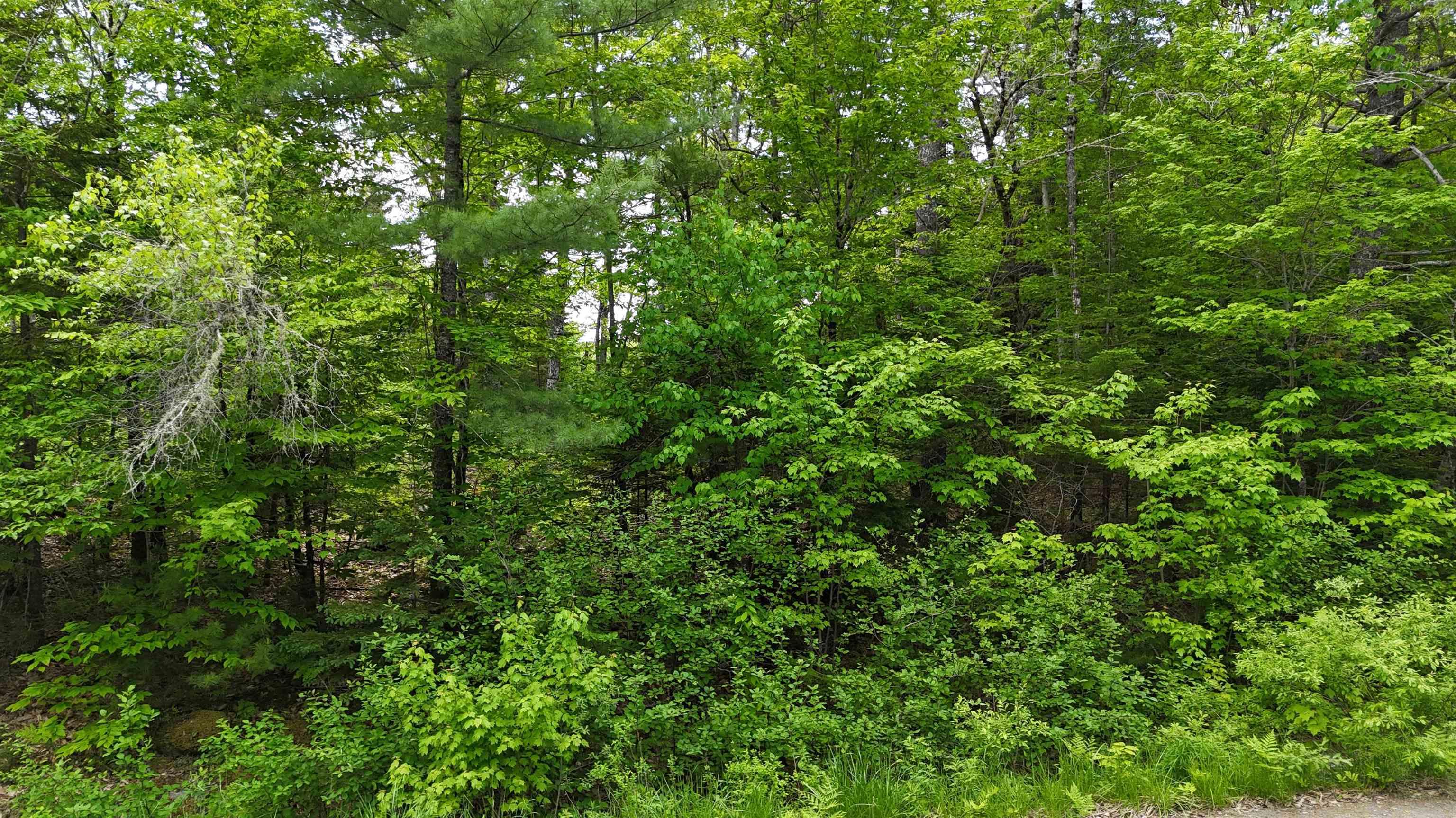 $39,900.00: Lot 24-1 East Clifford Road, East Clifford