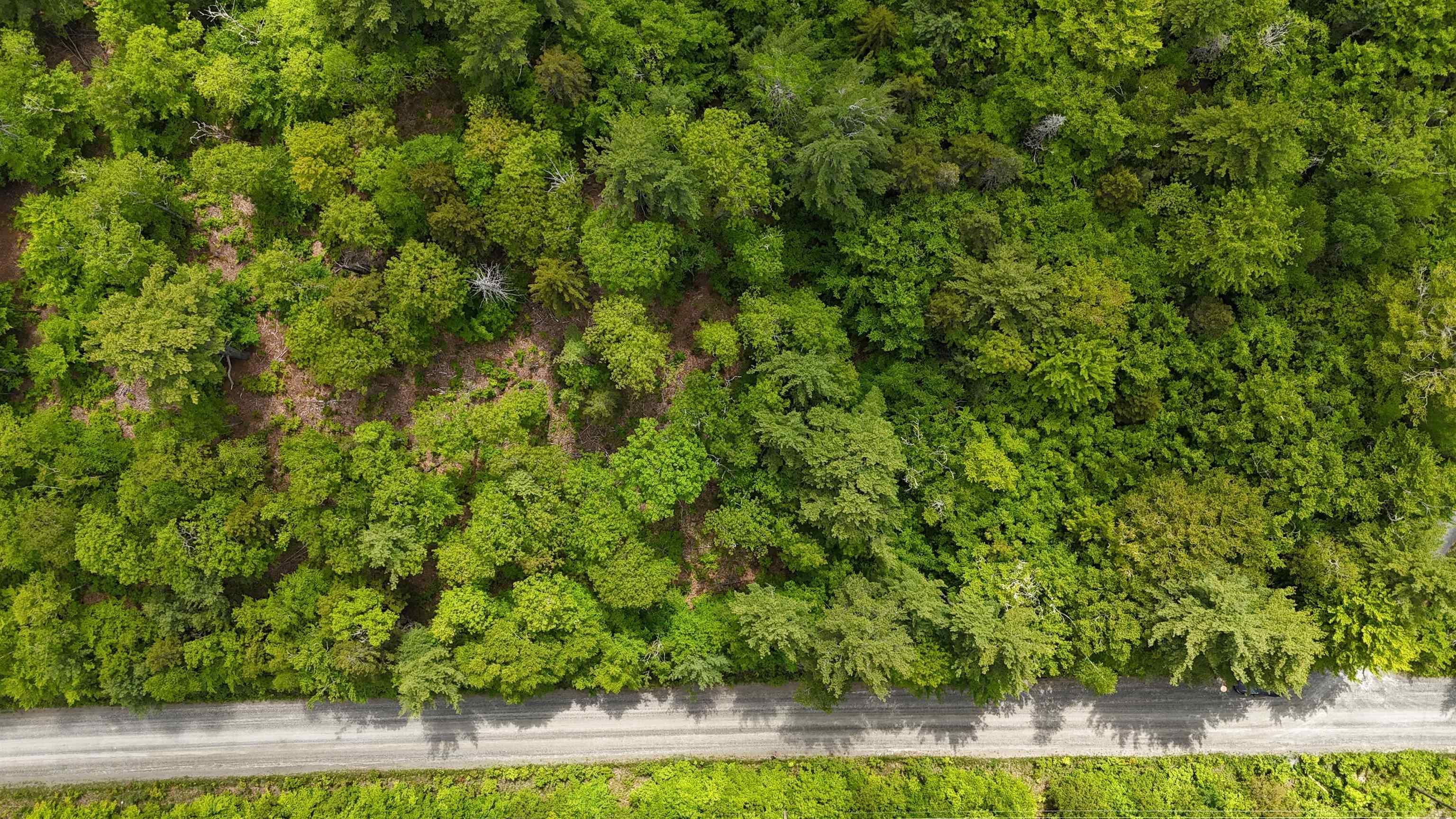 $39,900.00: Lot 24-1 East Clifford Road, East Clifford