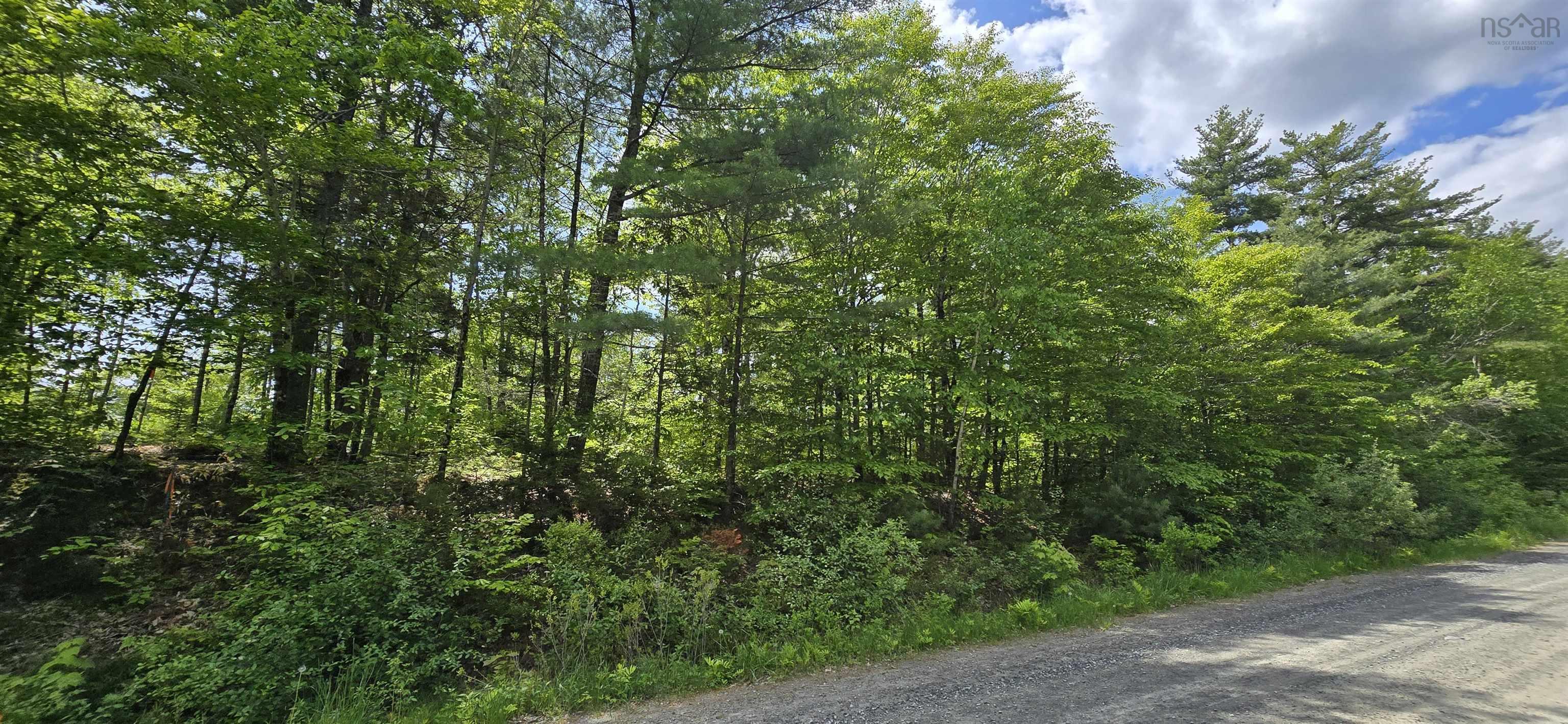 $39,900.00: Lot 24-1 East Clifford Road, East Clifford