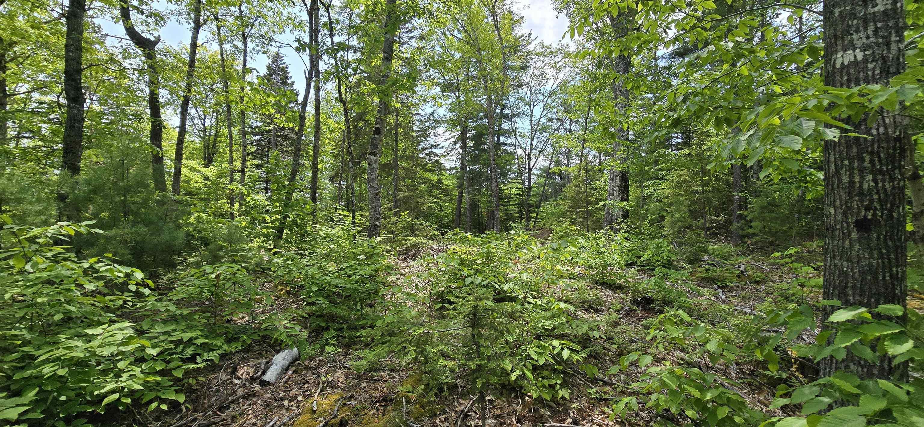 $39,900.00: Lot 24-1 East Clifford Road, East Clifford
