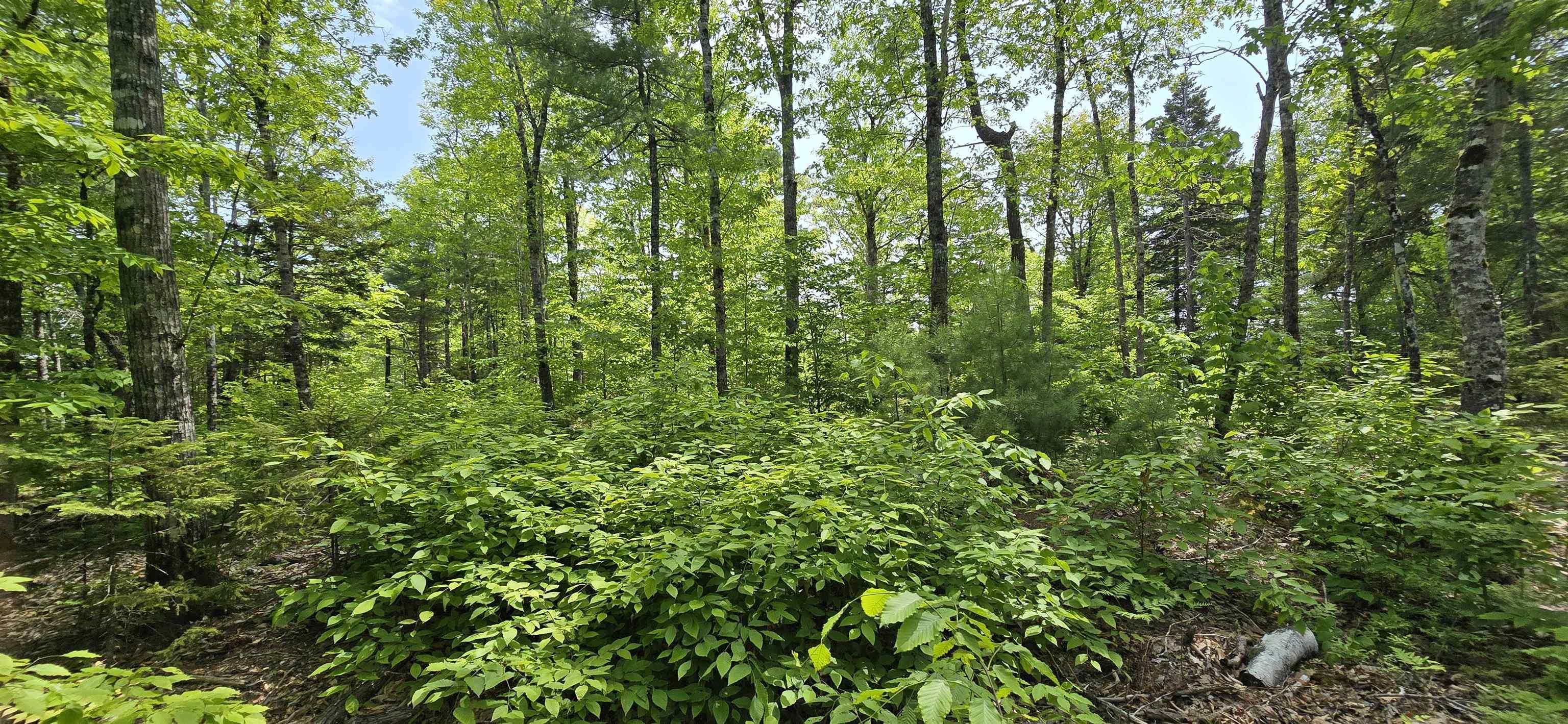 $39,900.00: Lot 24-1 East Clifford Road, East Clifford