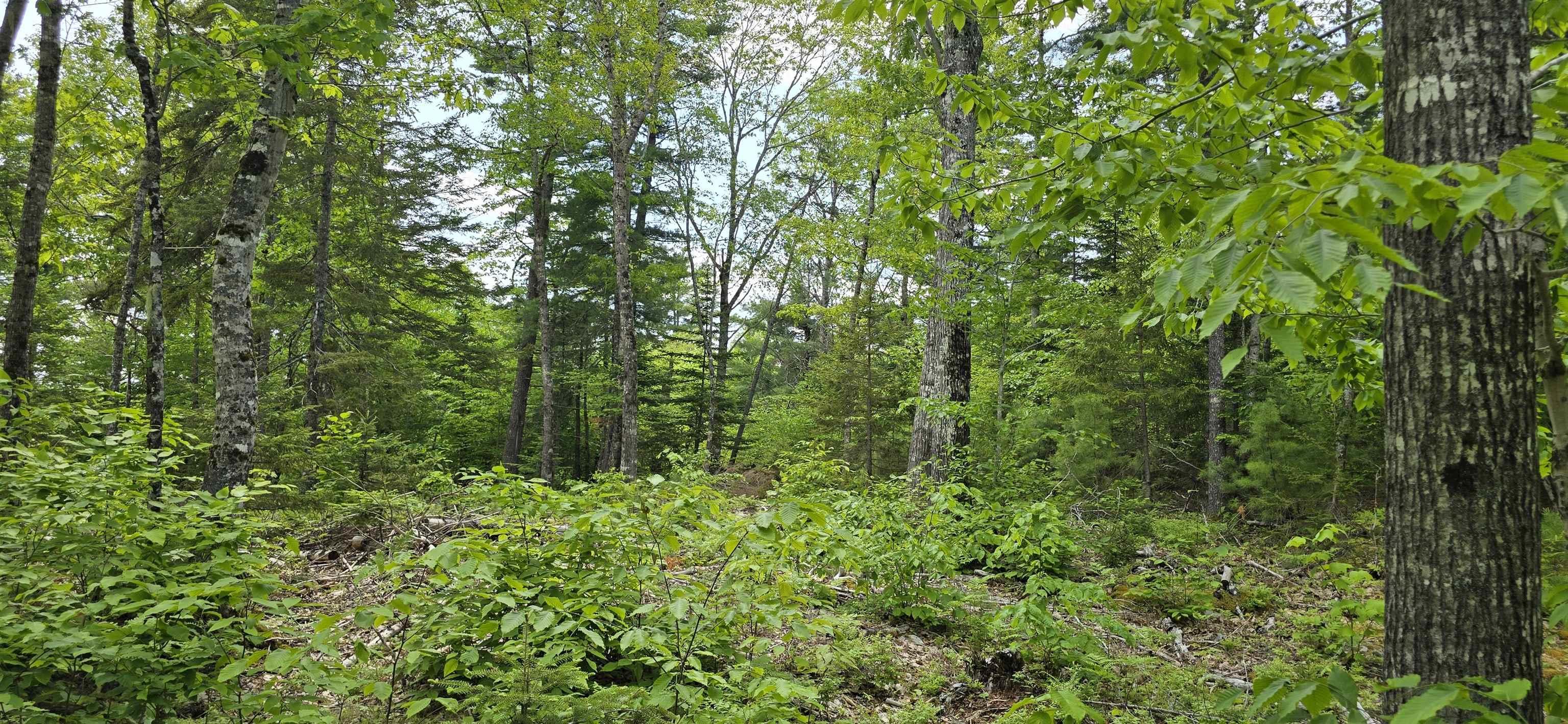 $39,900.00: Lot 24-1 East Clifford Road, East Clifford