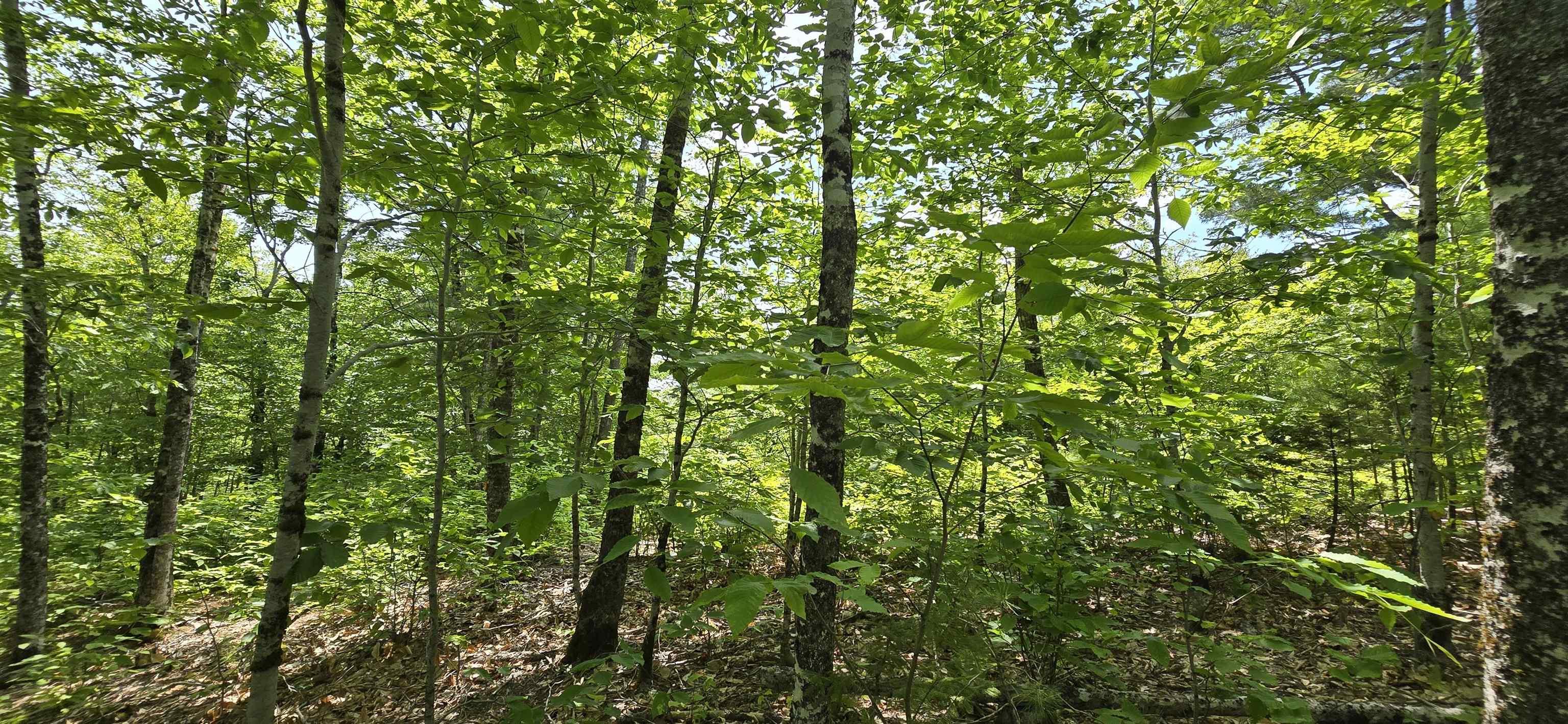 $37,900.00: Lot 24-2 East Clifford Road, East Clifford