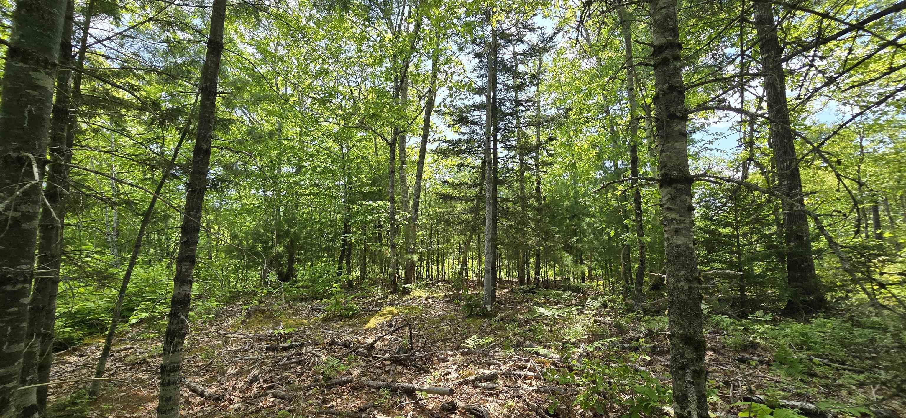 $37,900.00: Lot 24-2 East Clifford Road, East Clifford