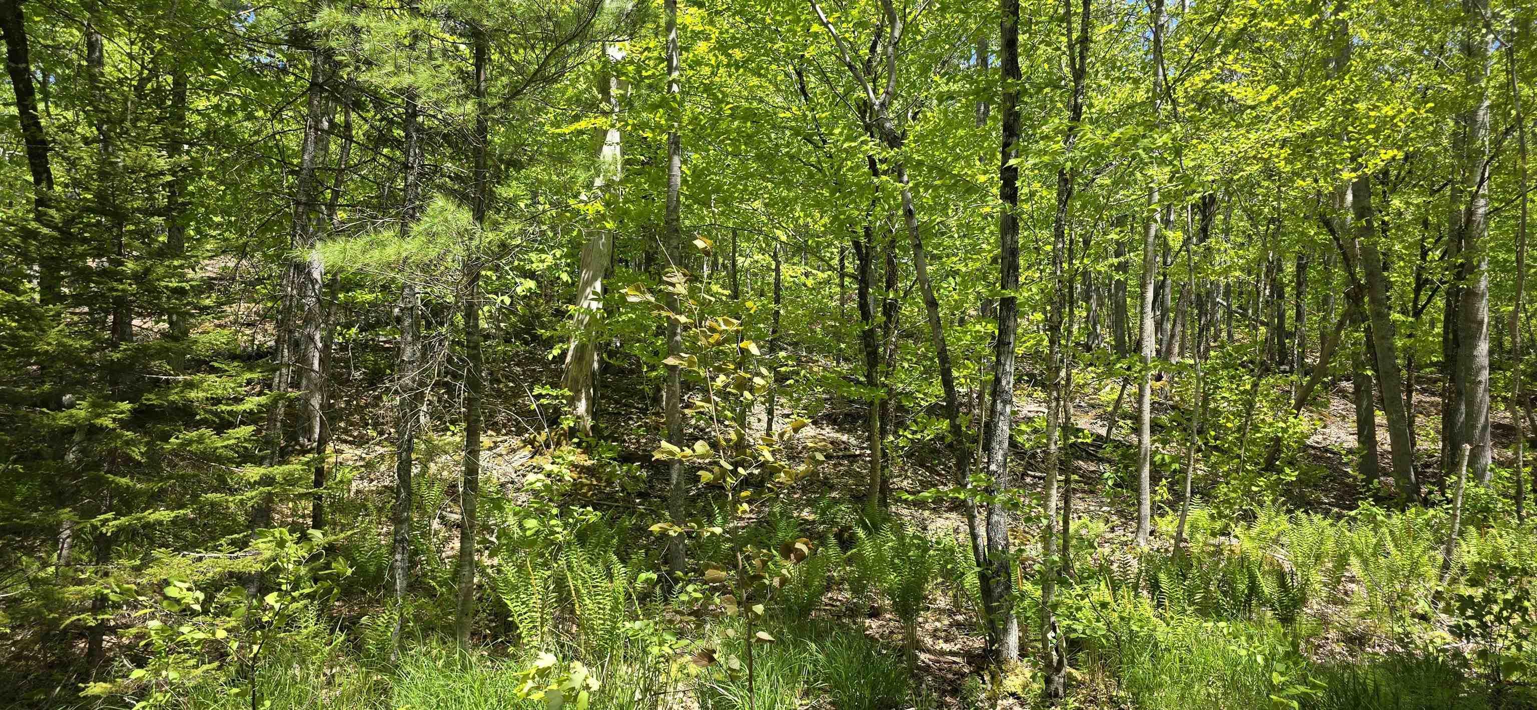 $37,900.00: Lot 24-2 East Clifford Road, East Clifford