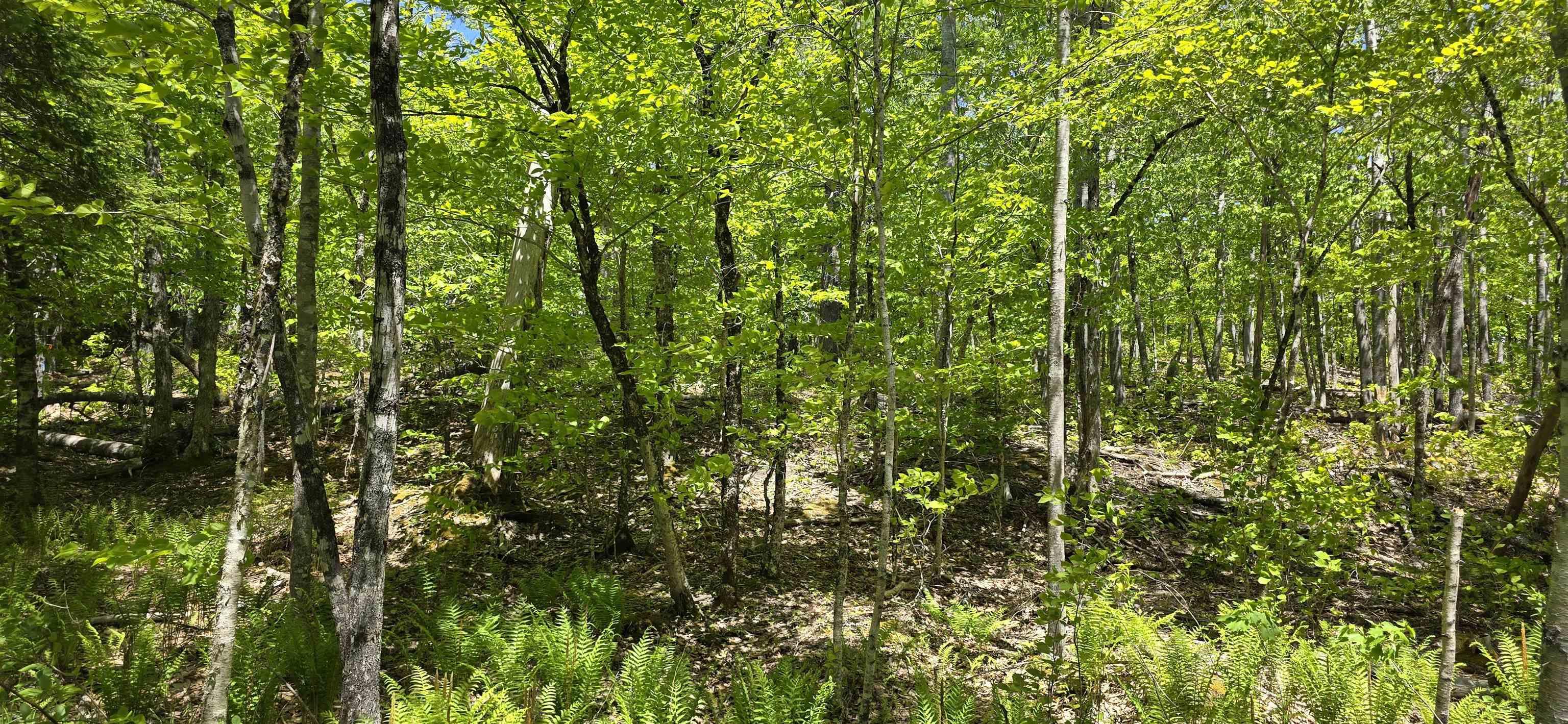 $37,900.00: Lot 24-2 East Clifford Road, East Clifford