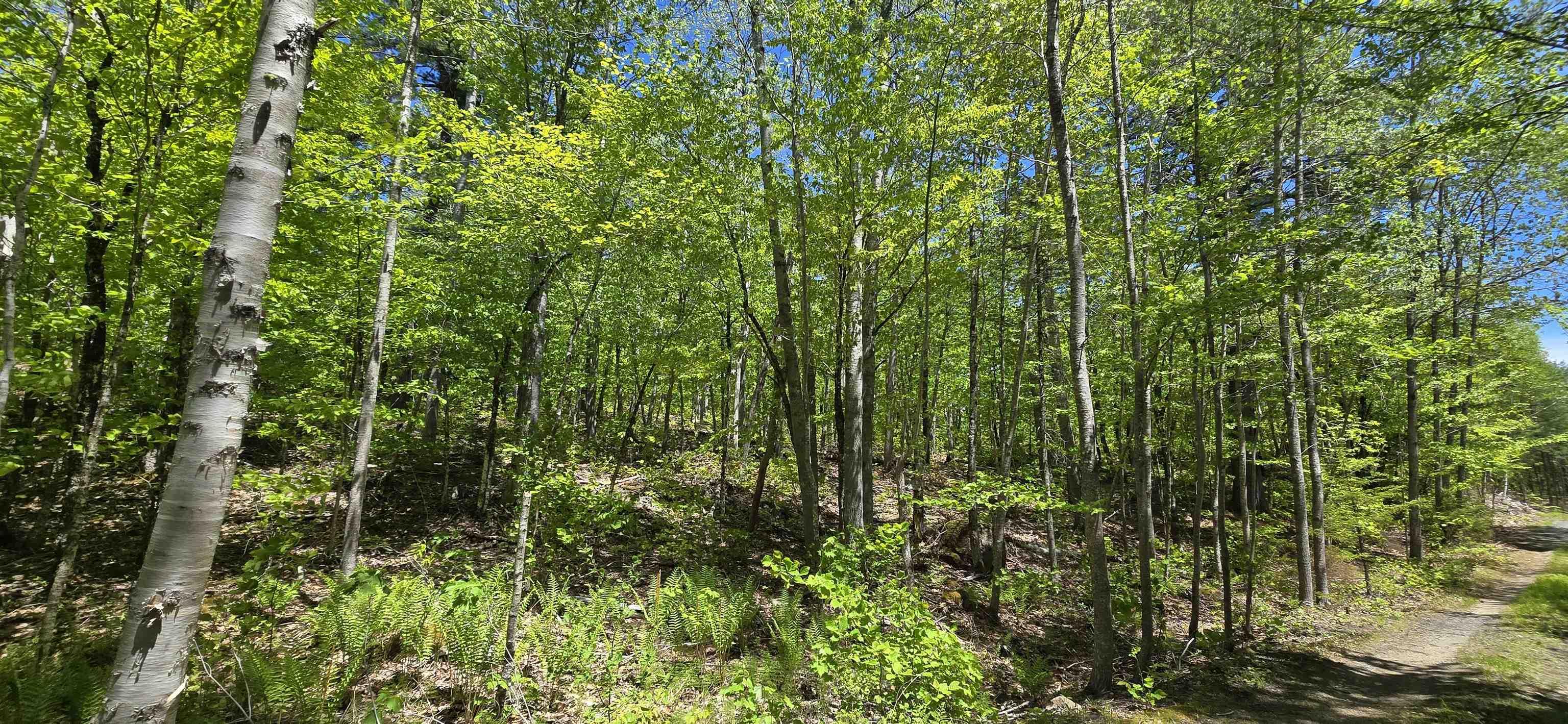 $37,900.00: Lot 24-2 East Clifford Road, East Clifford
