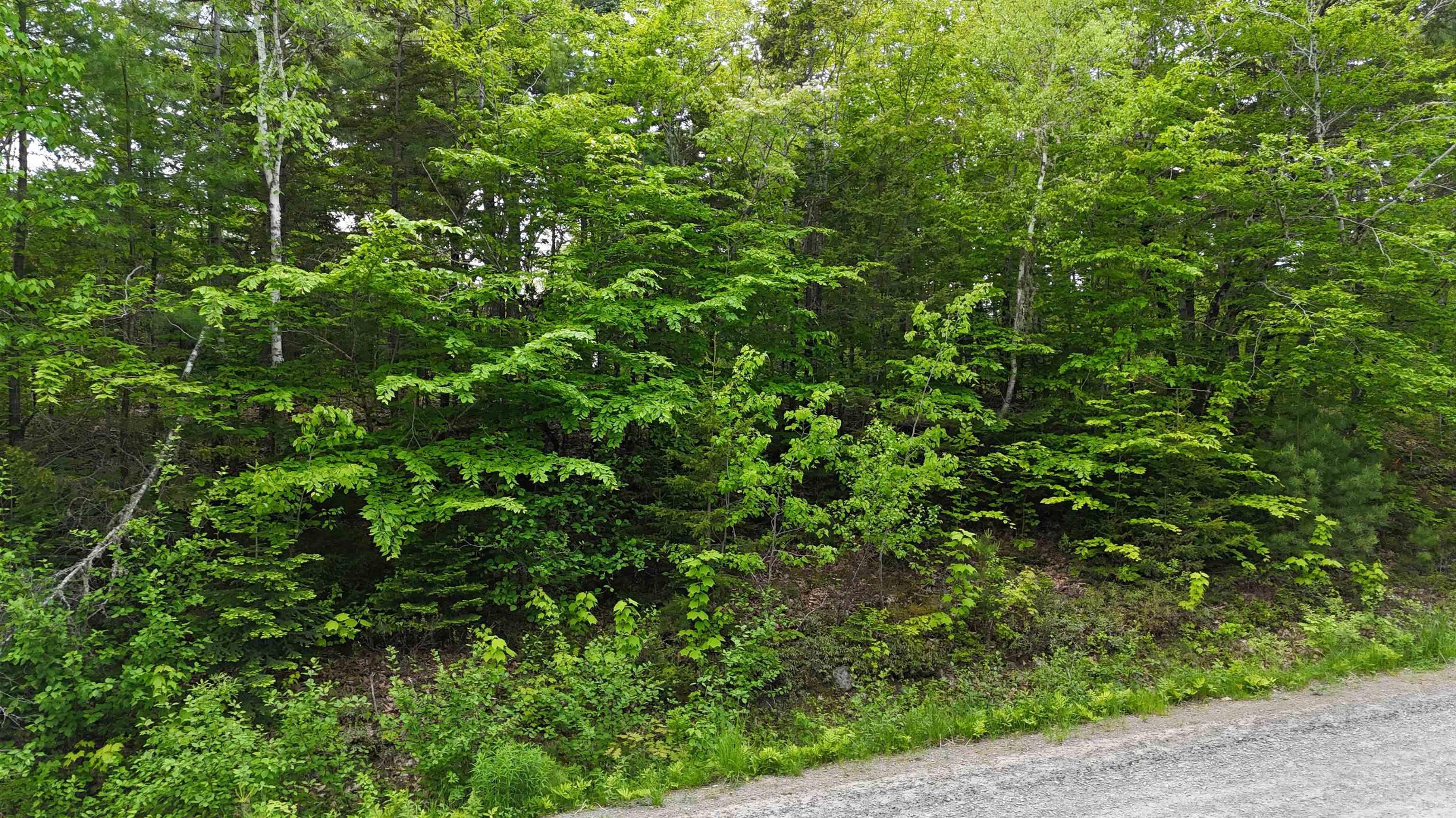 $37,900.00: Lot 24-2 East Clifford Road, East Clifford