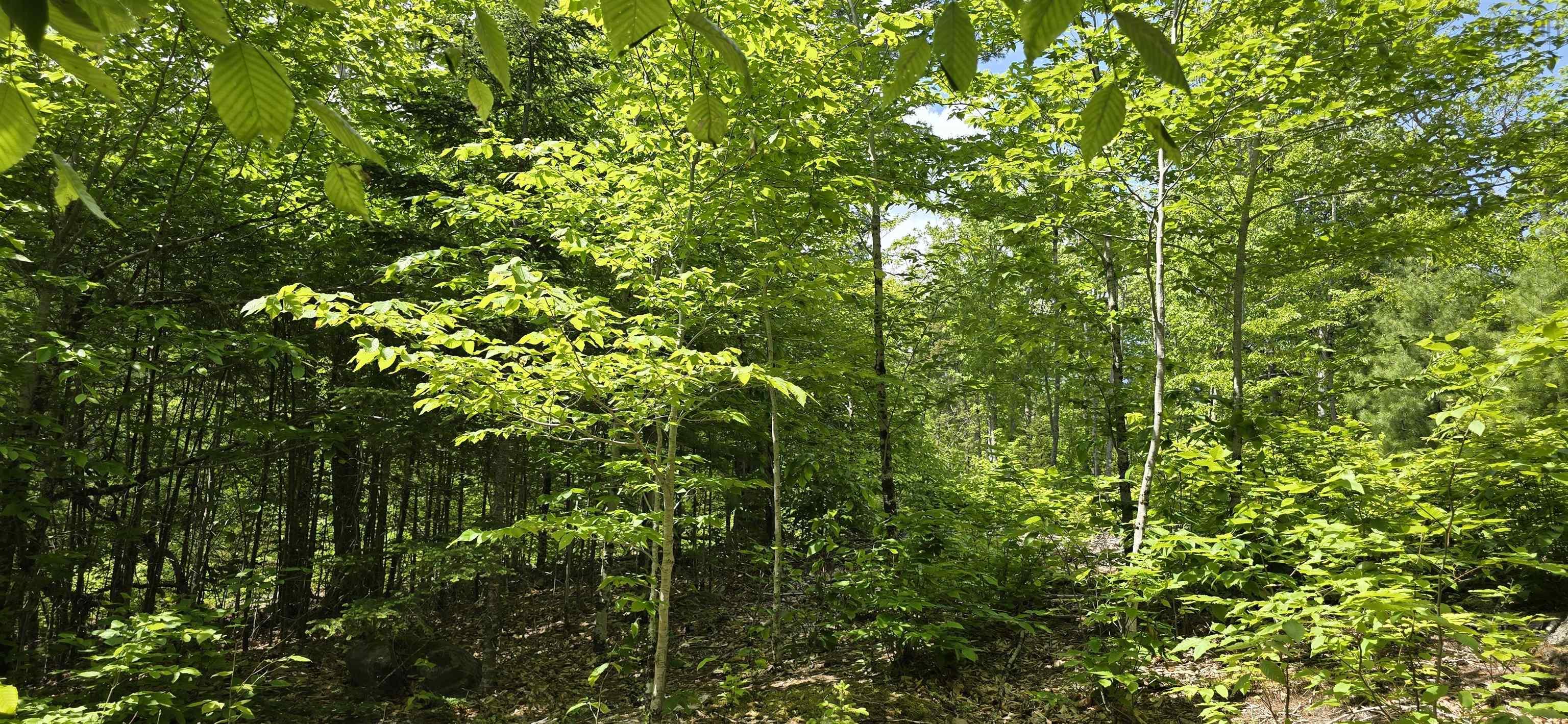 $37,900.00: Lot 24-2 East Clifford Road, East Clifford