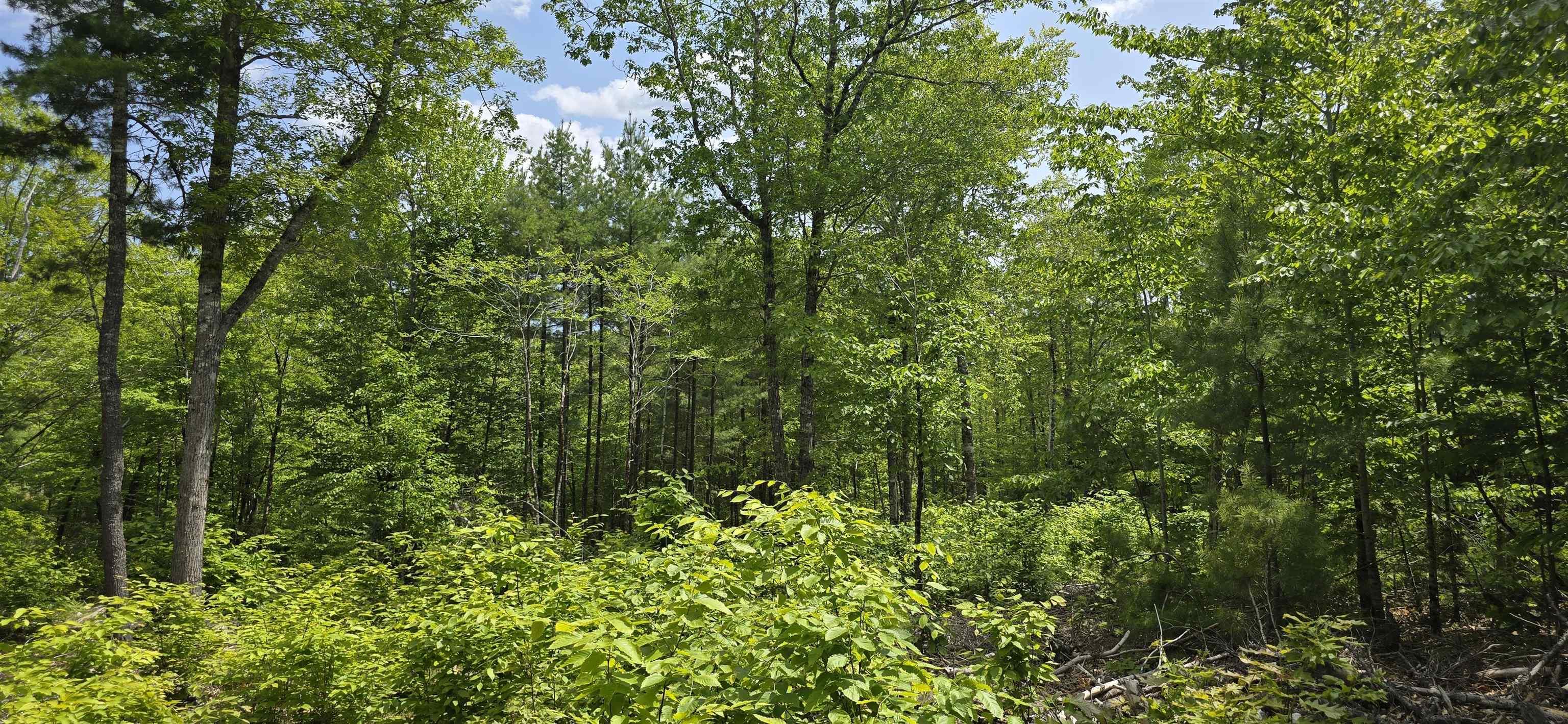$36,900.00: Lot 24-3 East Clifford Road, East Clifford