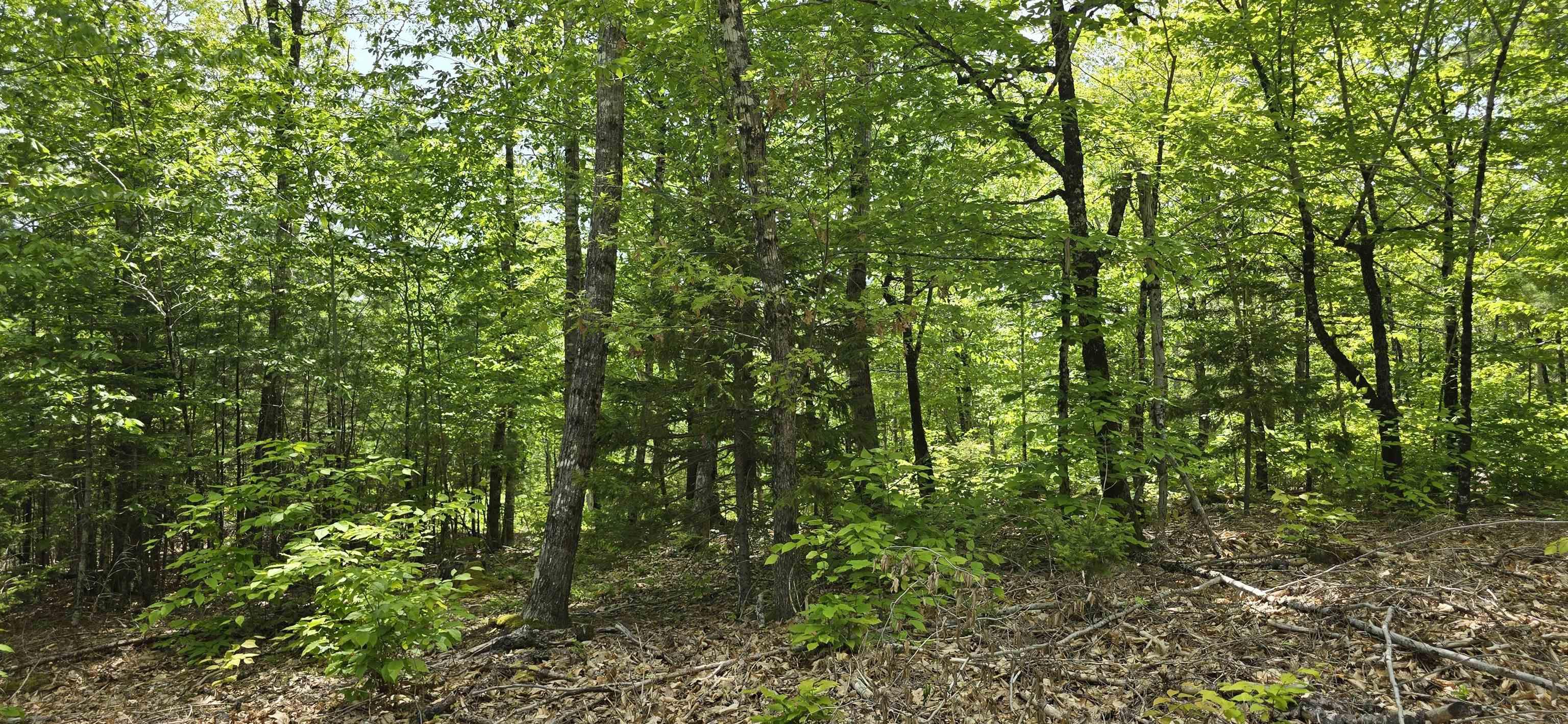 $36,900.00: Lot 24-3 East Clifford Road, East Clifford