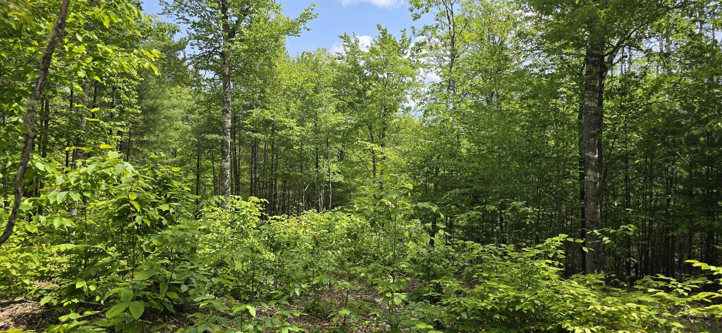 $36,900.00: Lot 24-3 East Clifford Road, East Clifford