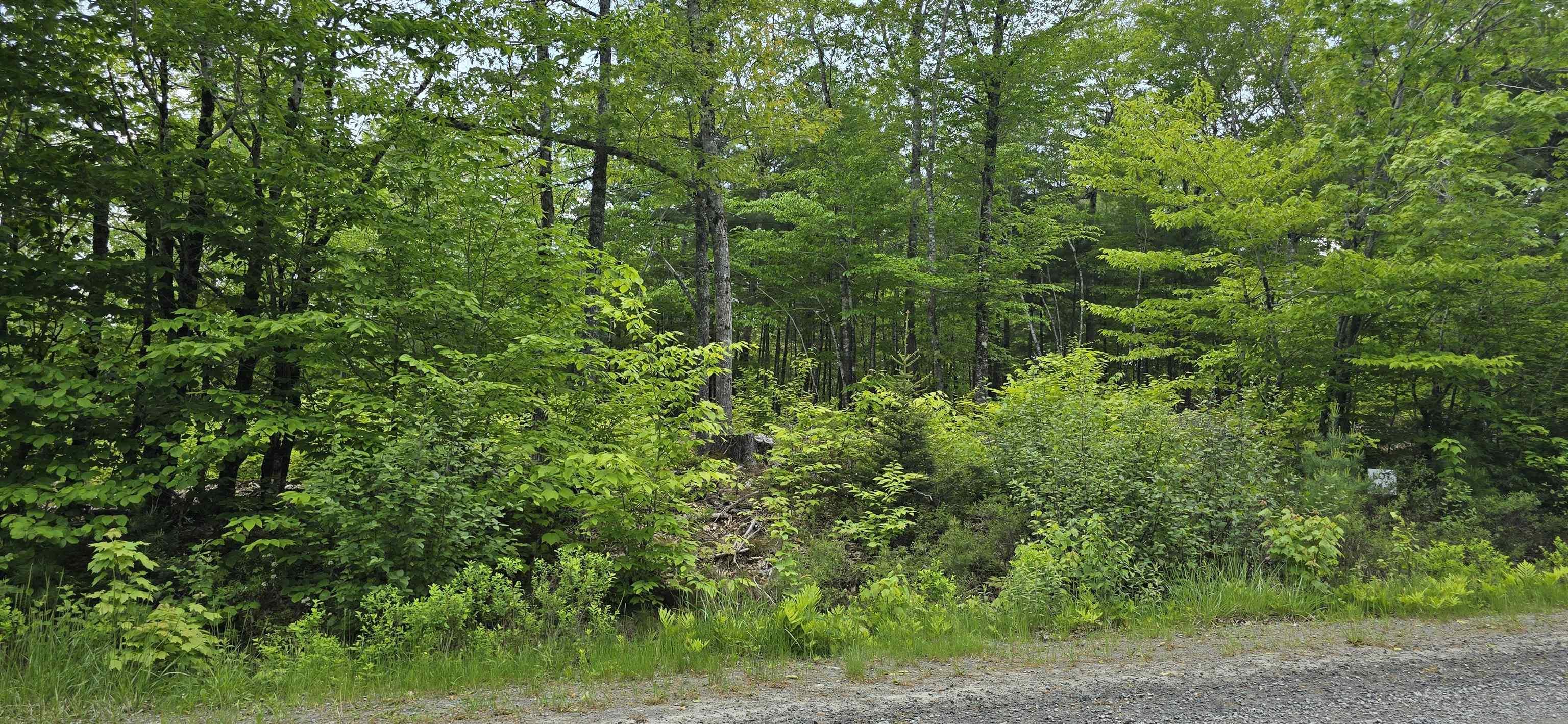 $36,900.00: Lot 24-3 East Clifford Road, East Clifford
