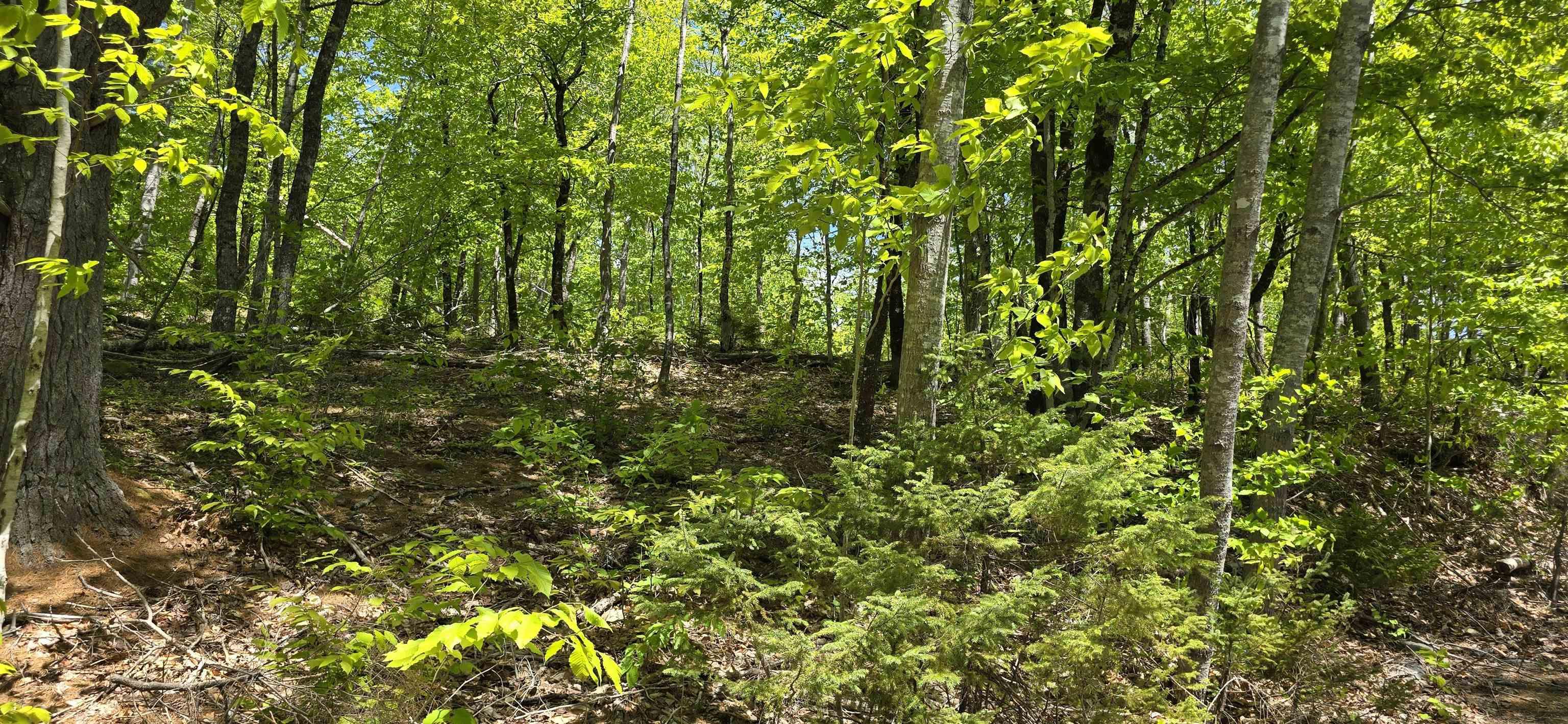 $36,900.00: Lot 24-3 East Clifford Road, East Clifford
