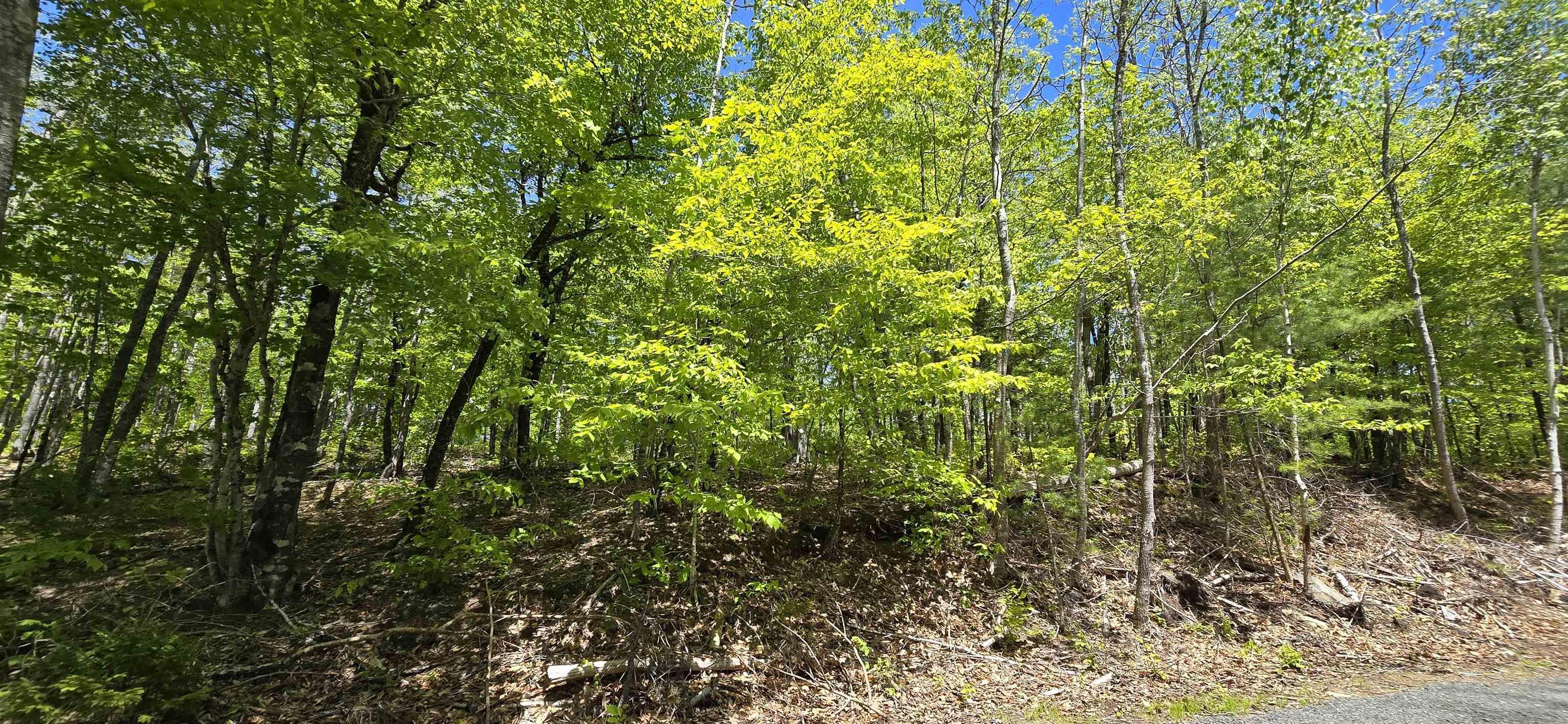 $36,900.00: Lot 24-3 East Clifford Road, East Clifford