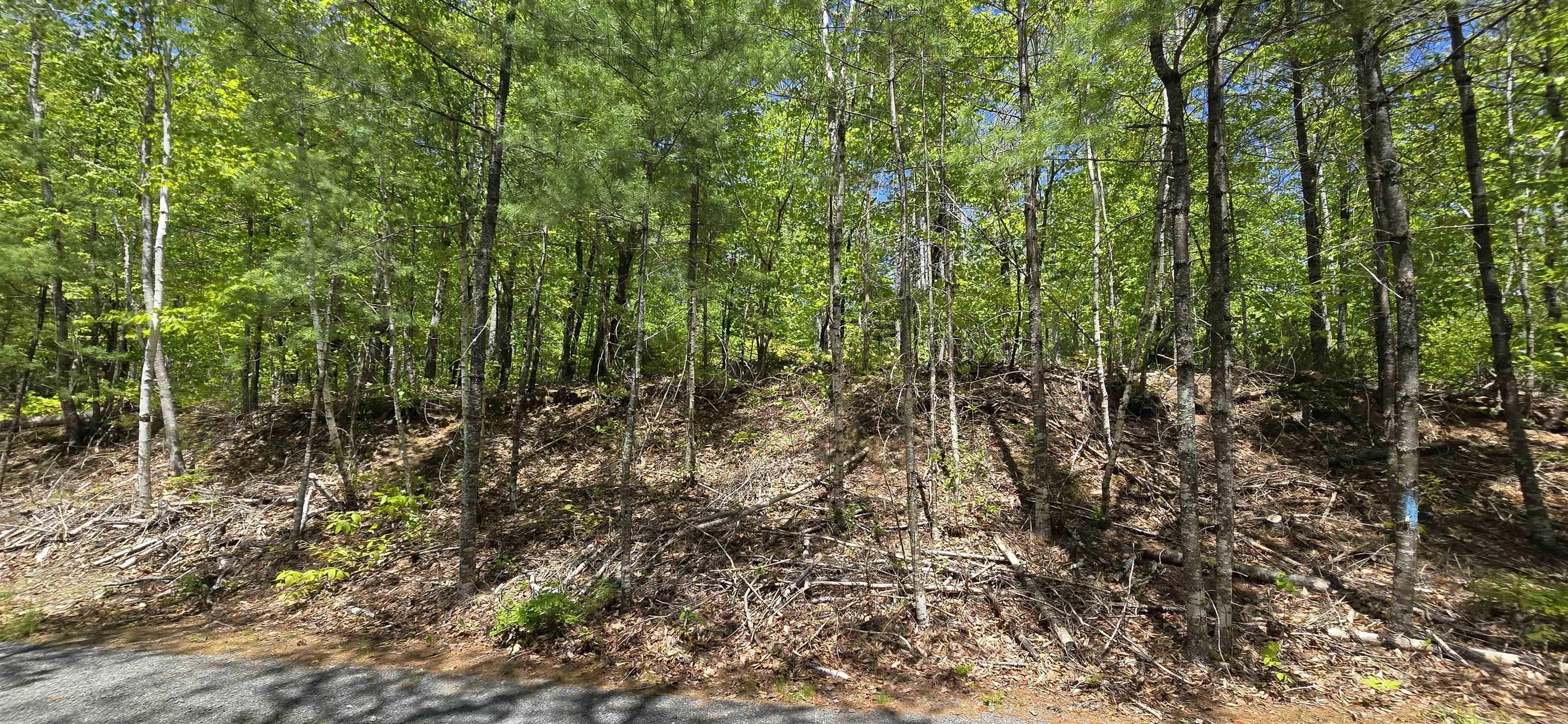 $36,900.00: Lot 24-3 East Clifford Road, East Clifford