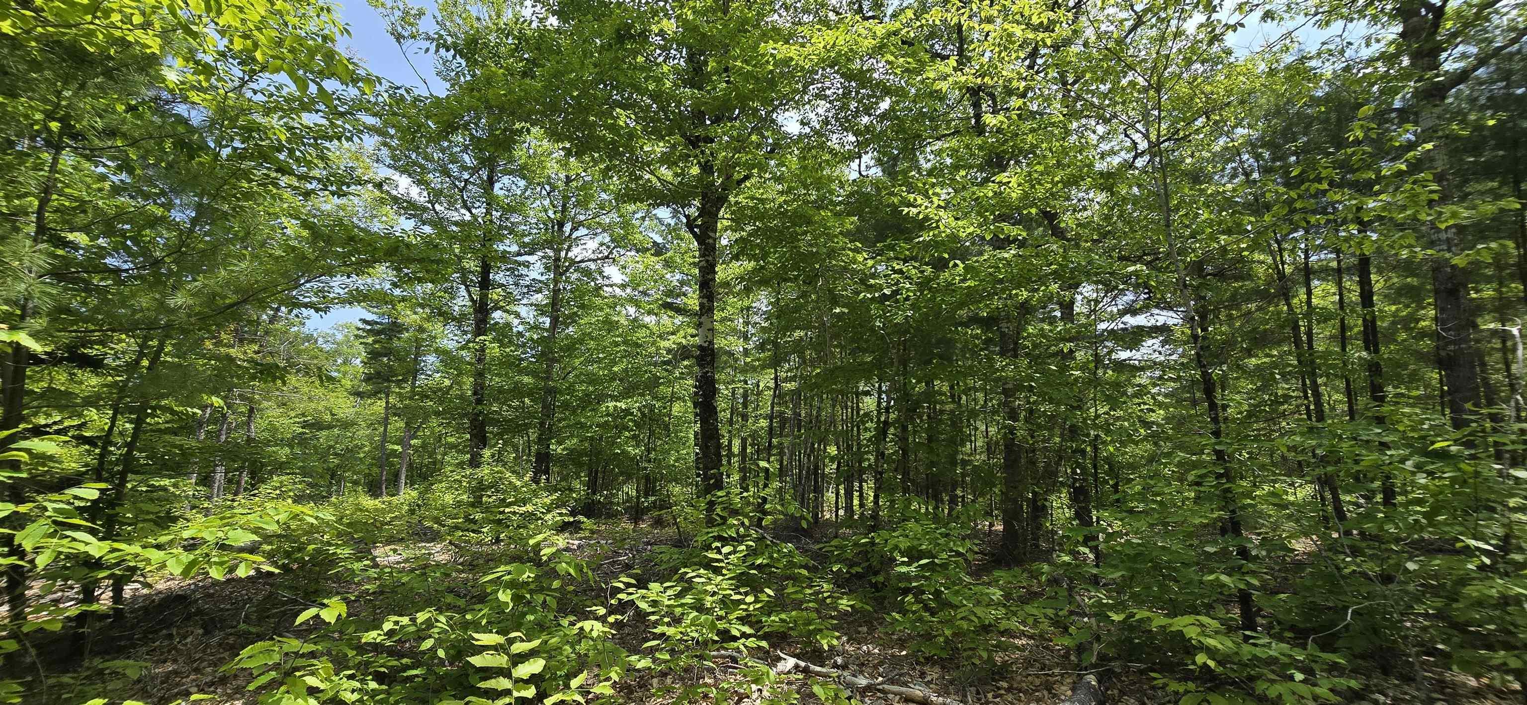$36,900.00: Lot 24-3 East Clifford Road, East Clifford