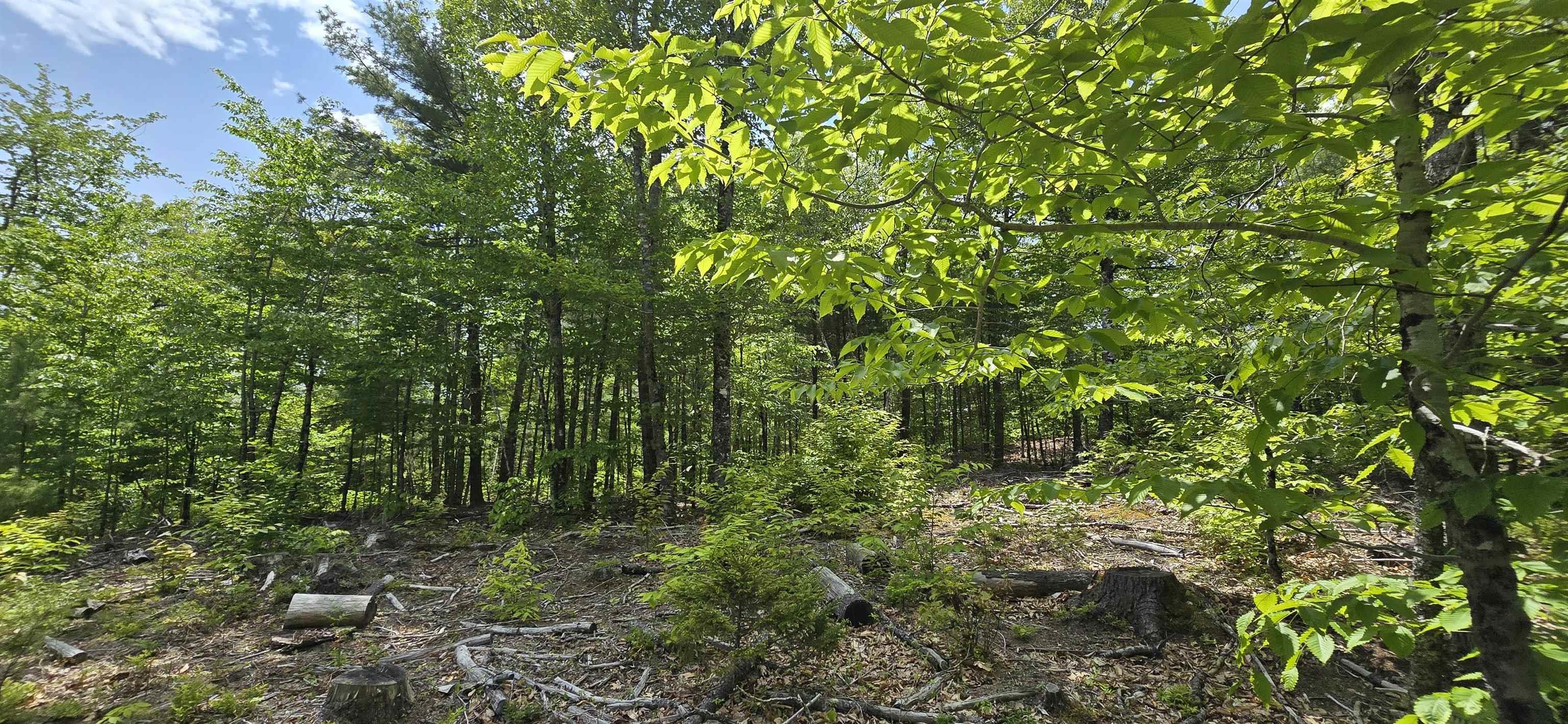 $36,900.00: Lot 24-3 East Clifford Road, East Clifford