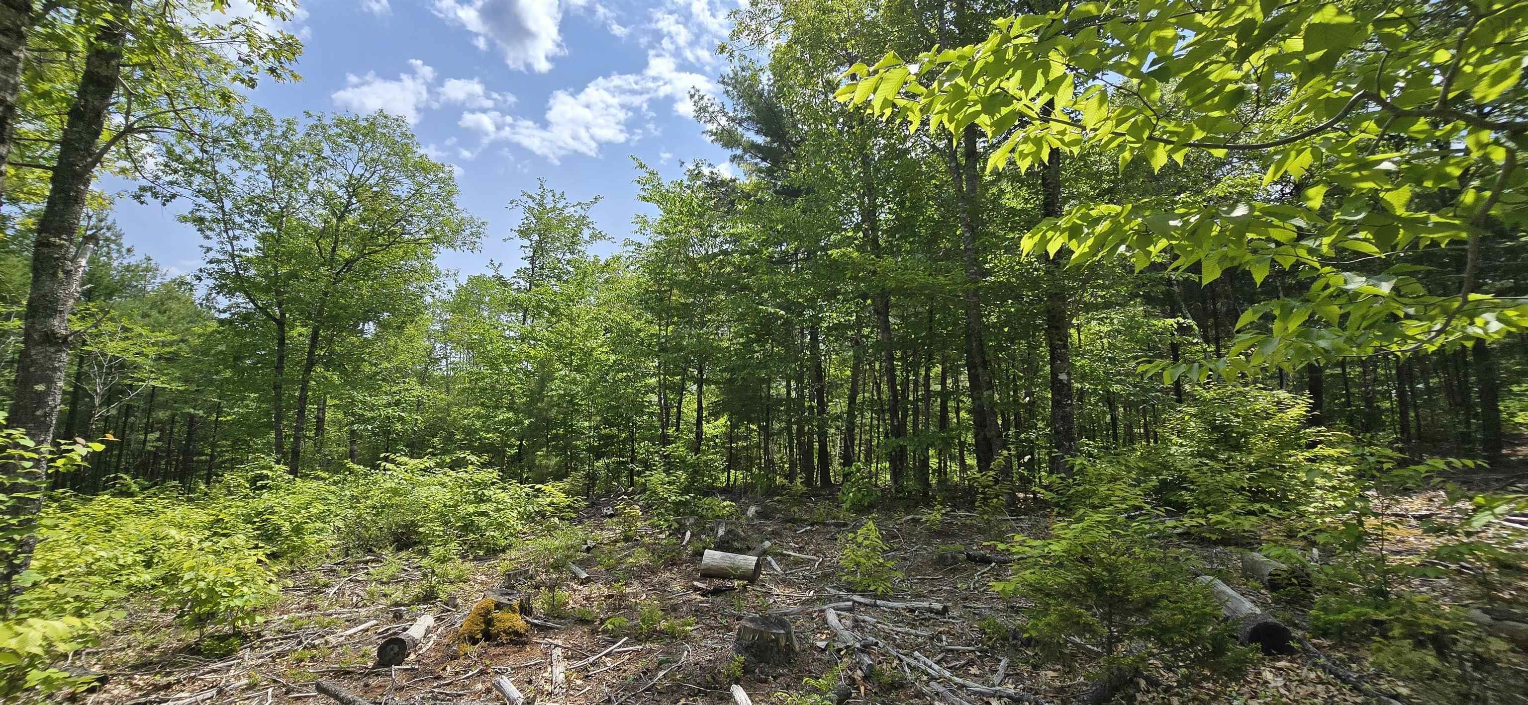 $36,900.00: Lot 24-3 East Clifford Road, East Clifford