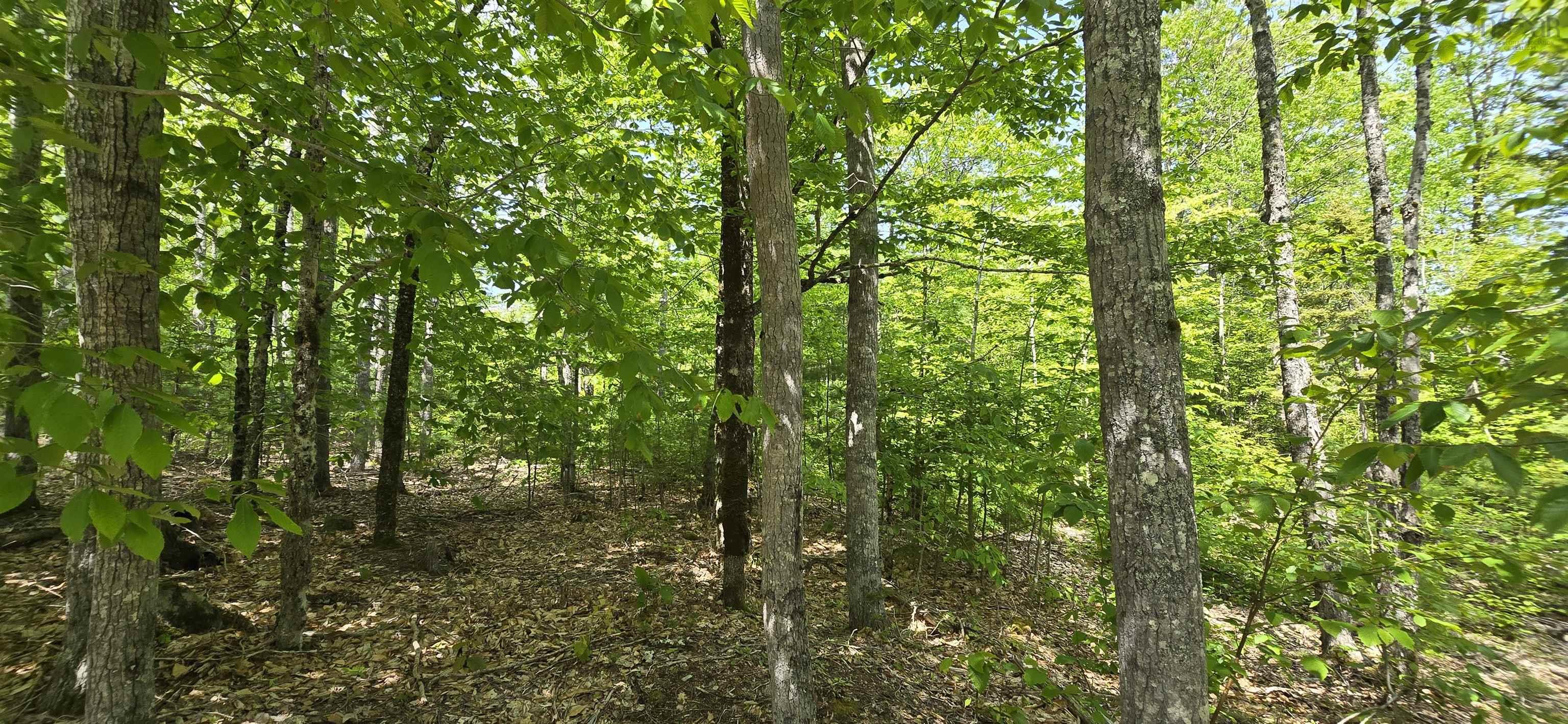 $38,900.00: Lot 24-4 East Clifford Road, East Clifford