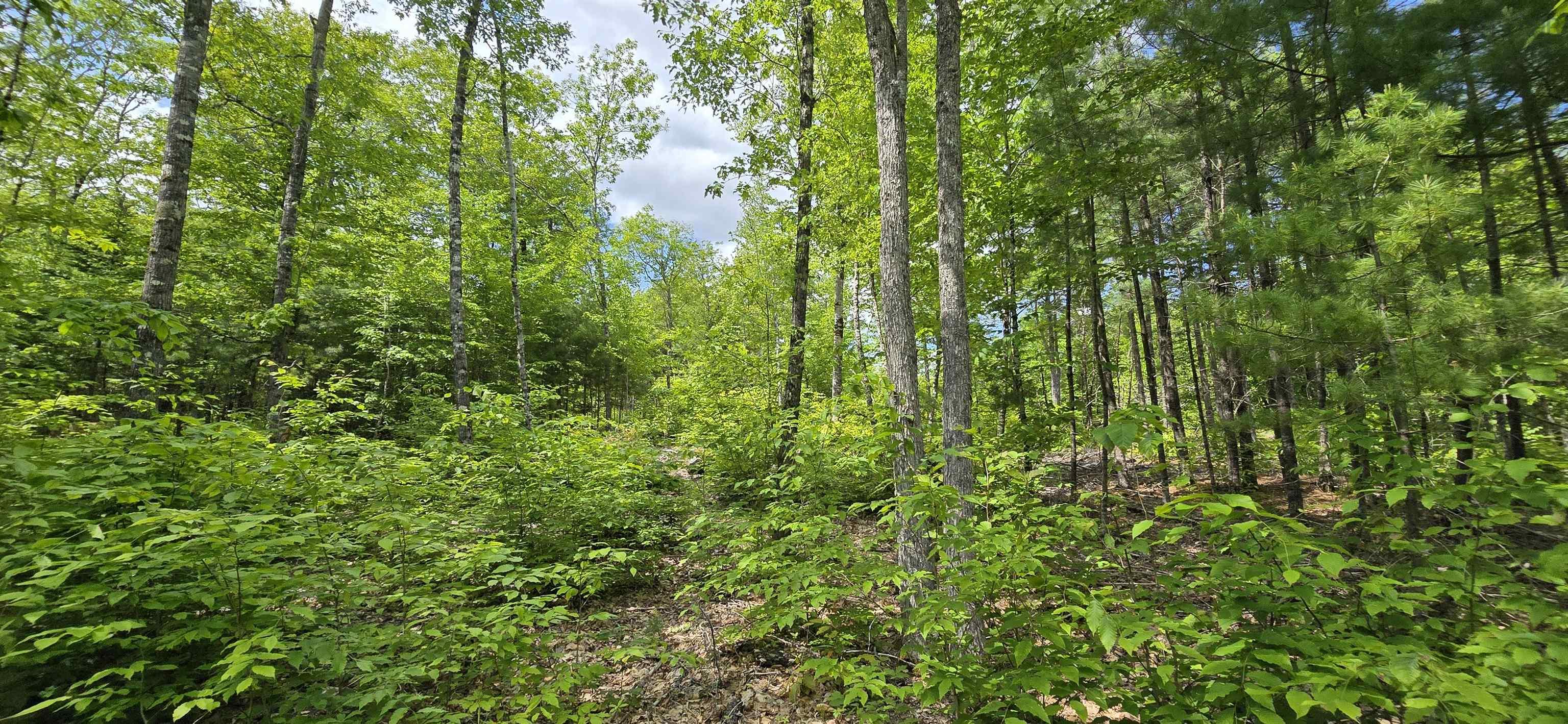 $38,900.00: Lot 24-4 East Clifford Road, East Clifford