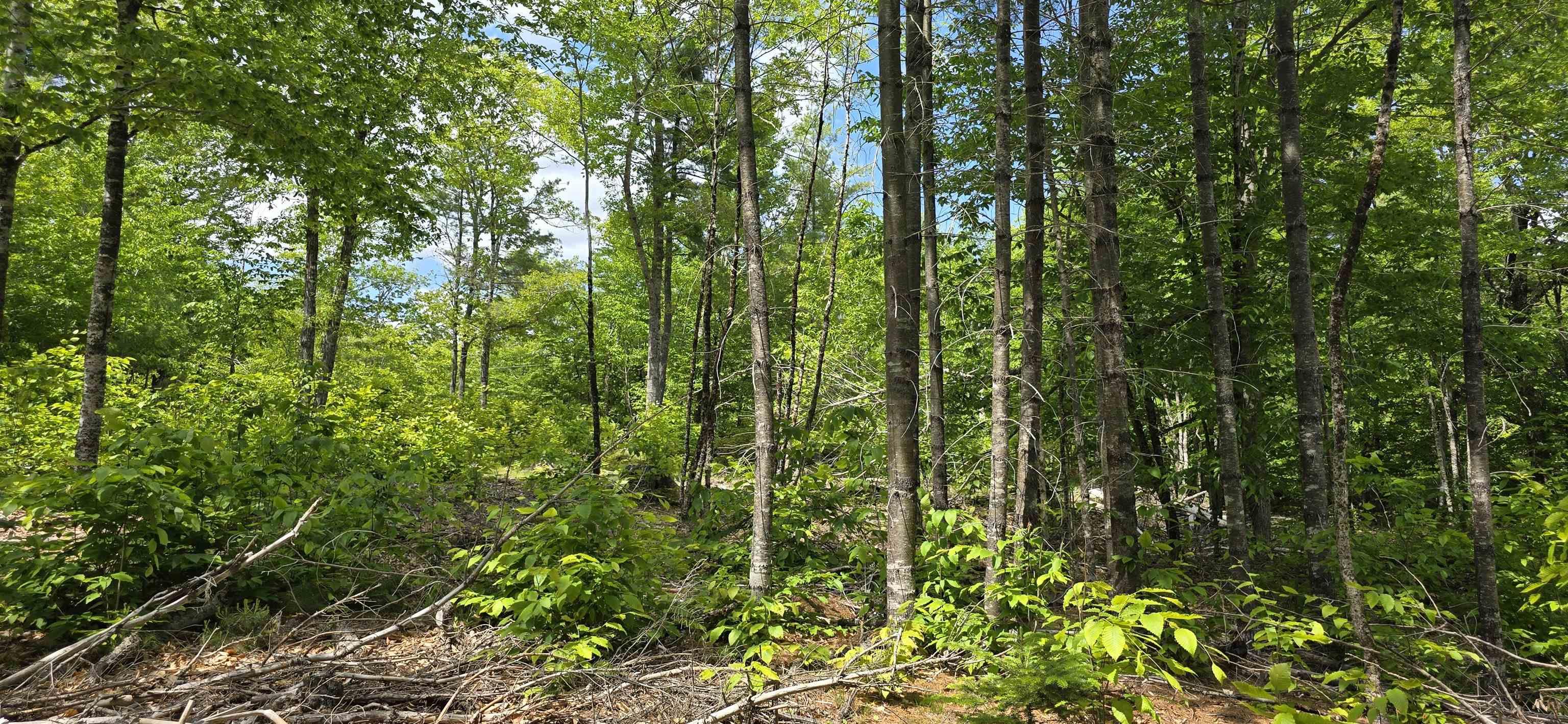$38,900.00: Lot 24-4 East Clifford Road, East Clifford