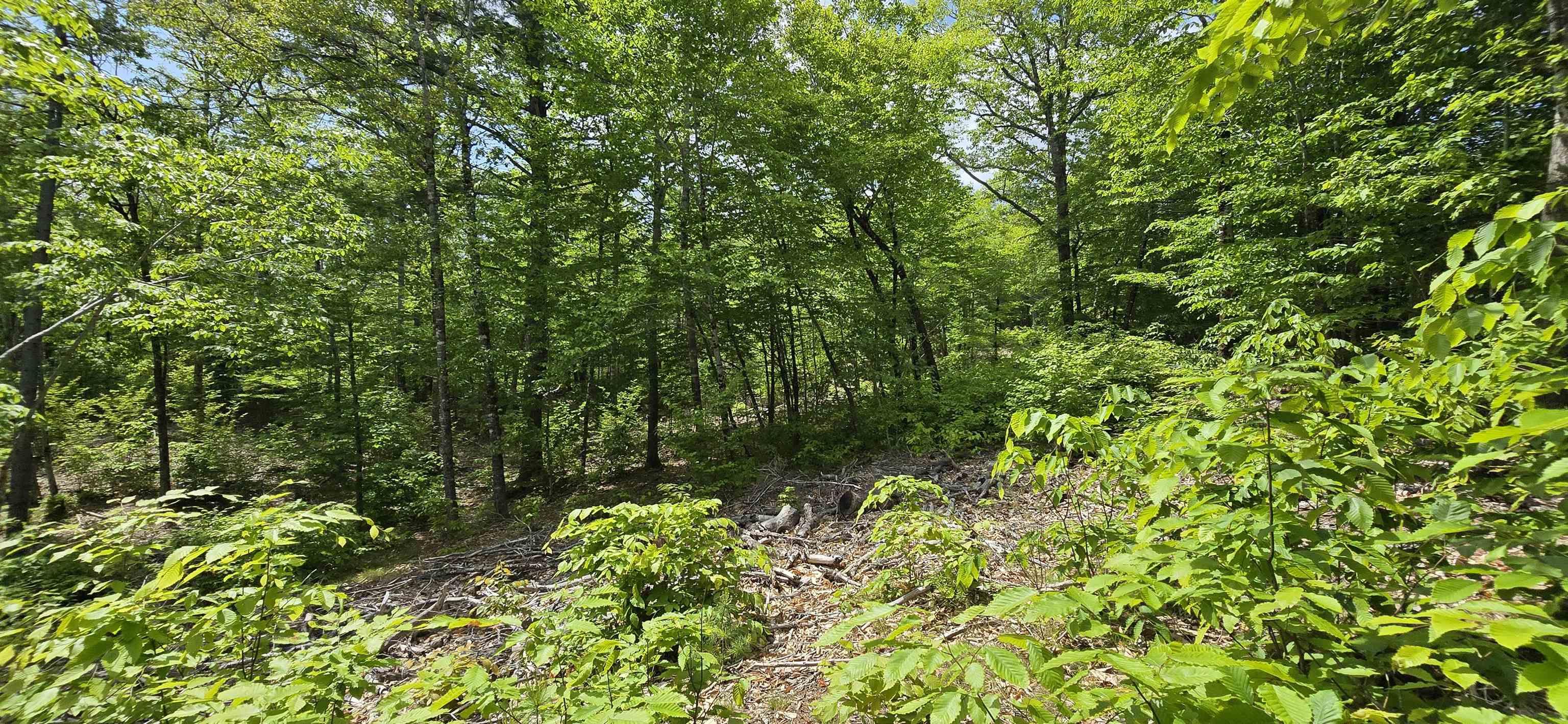 $38,900.00: Lot 24-4 East Clifford Road, East Clifford