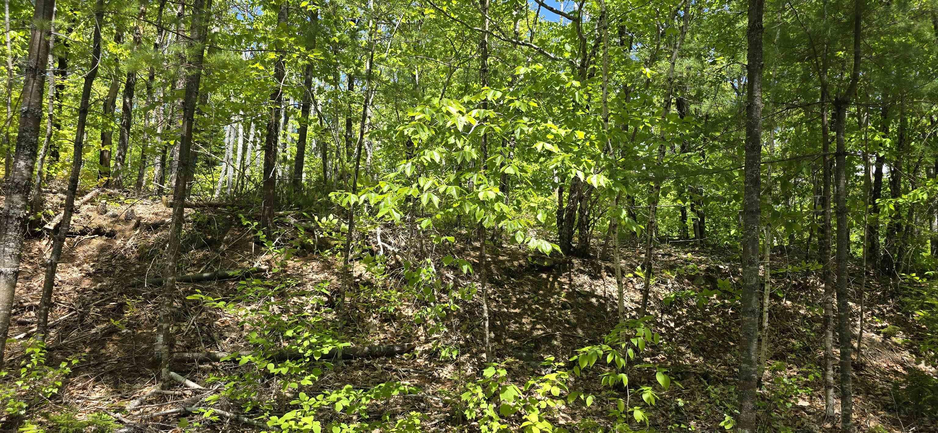 $38,900.00: Lot 24-4 East Clifford Road, East Clifford
