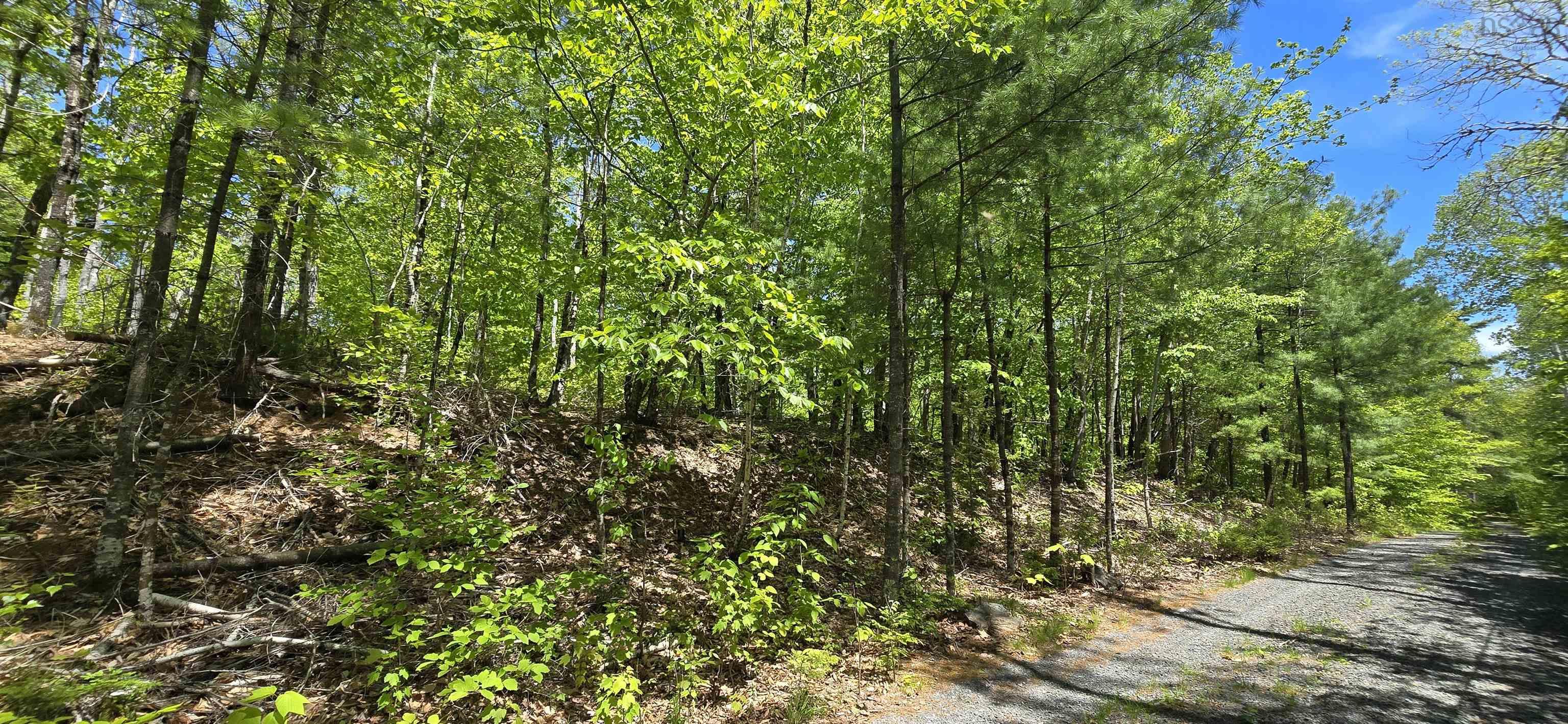 $38,900.00: Lot 24-4 East Clifford Road, East Clifford