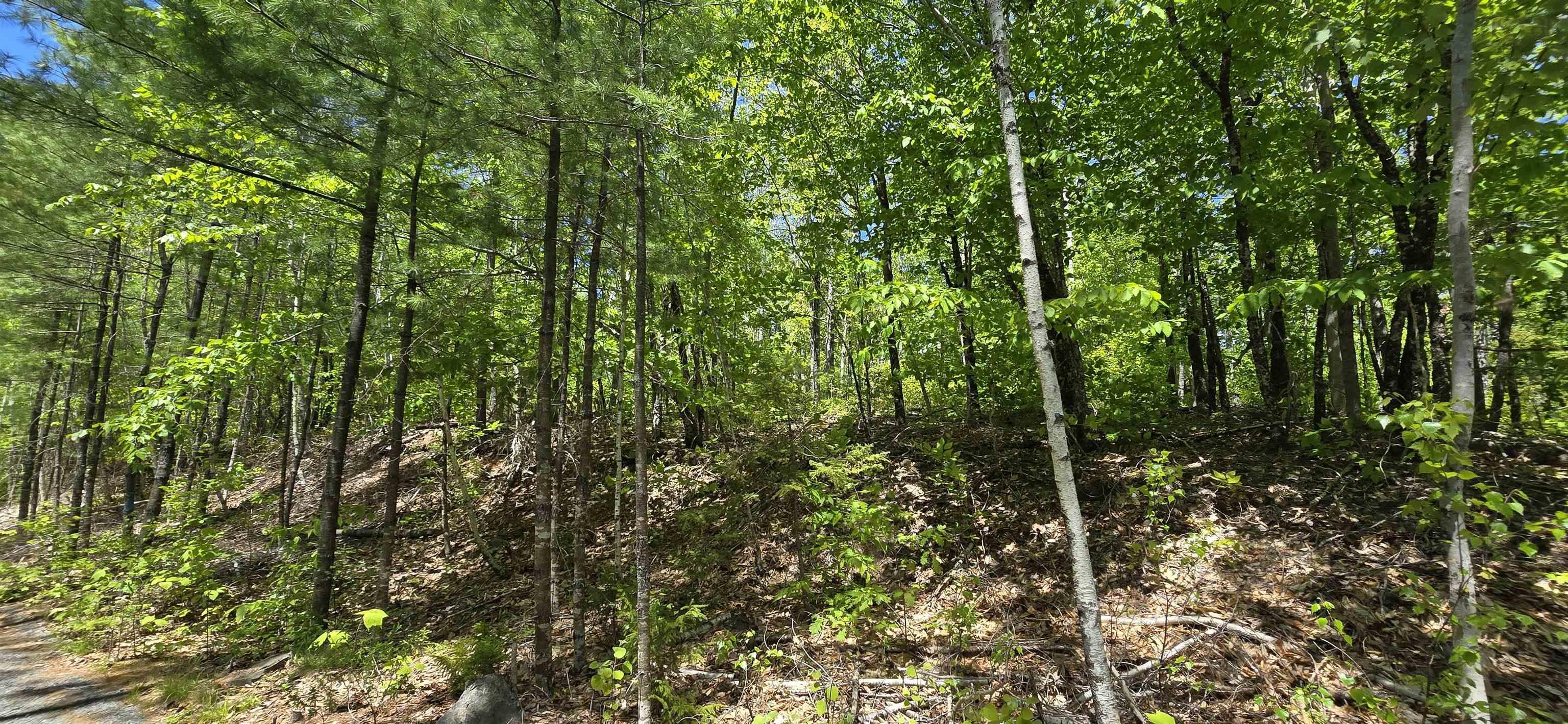 $38,900.00: Lot 24-4 East Clifford Road, East Clifford