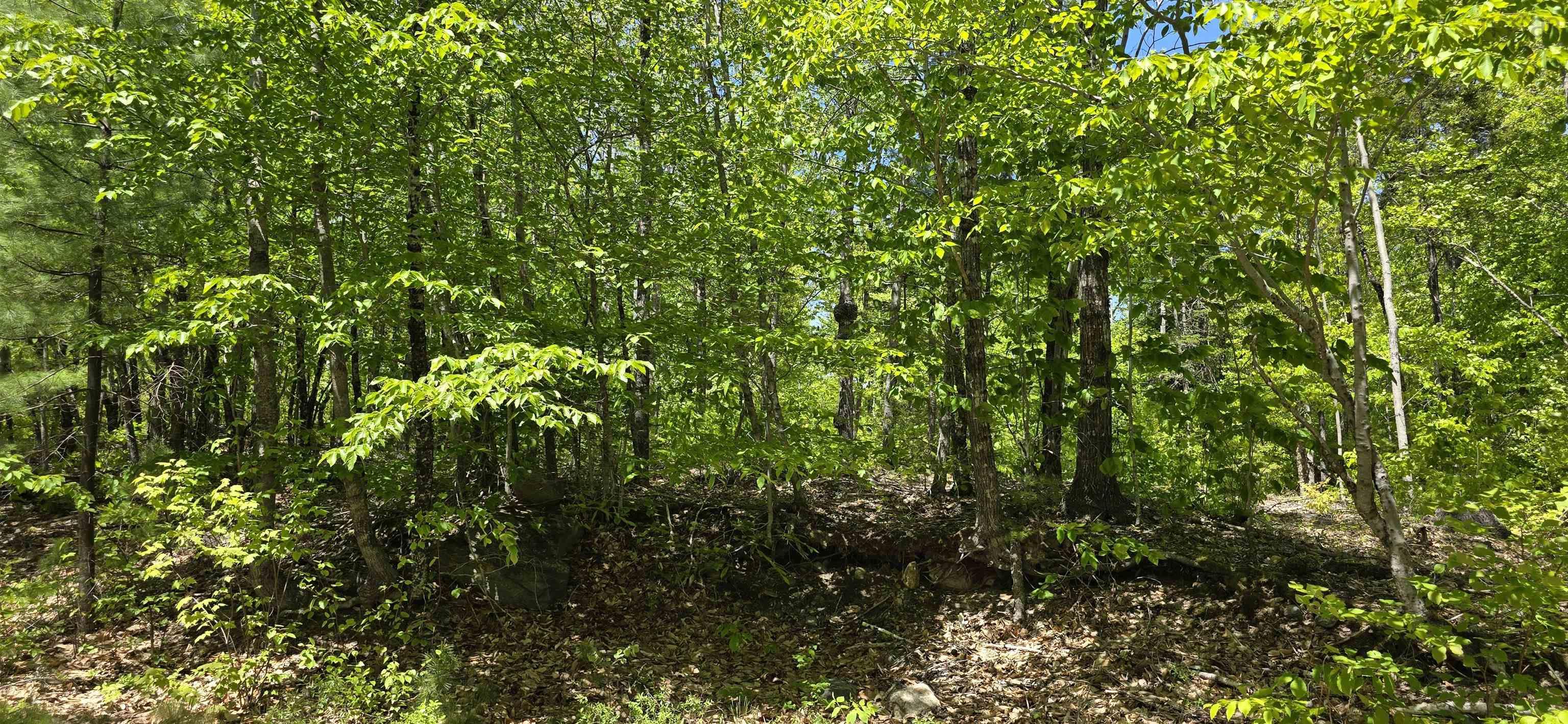 $38,900.00: Lot 24-4 East Clifford Road, East Clifford