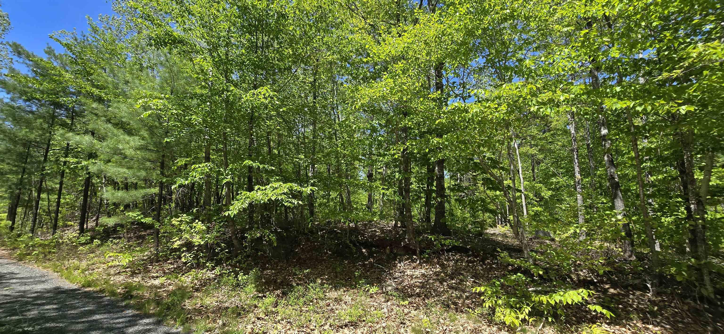 $38,900.00: Lot 24-4 East Clifford Road, East Clifford
