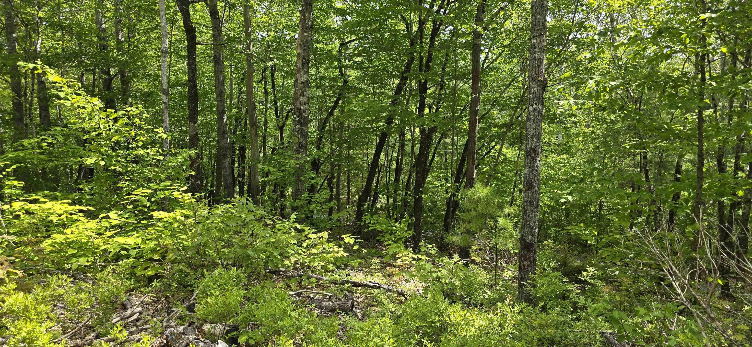$38,900.00: Lot 24-4 East Clifford Road, East Clifford