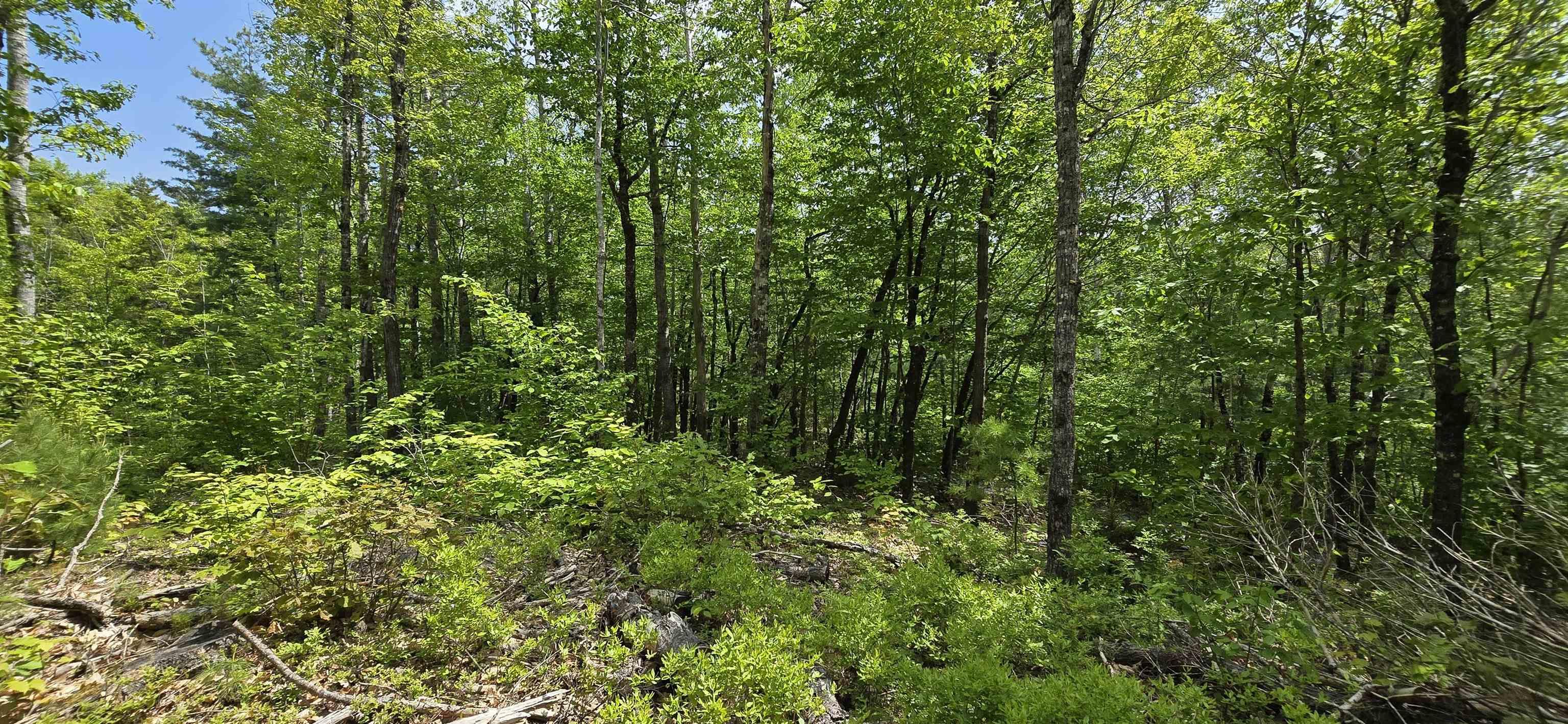 $38,900.00: Lot 24-4 East Clifford Road, East Clifford