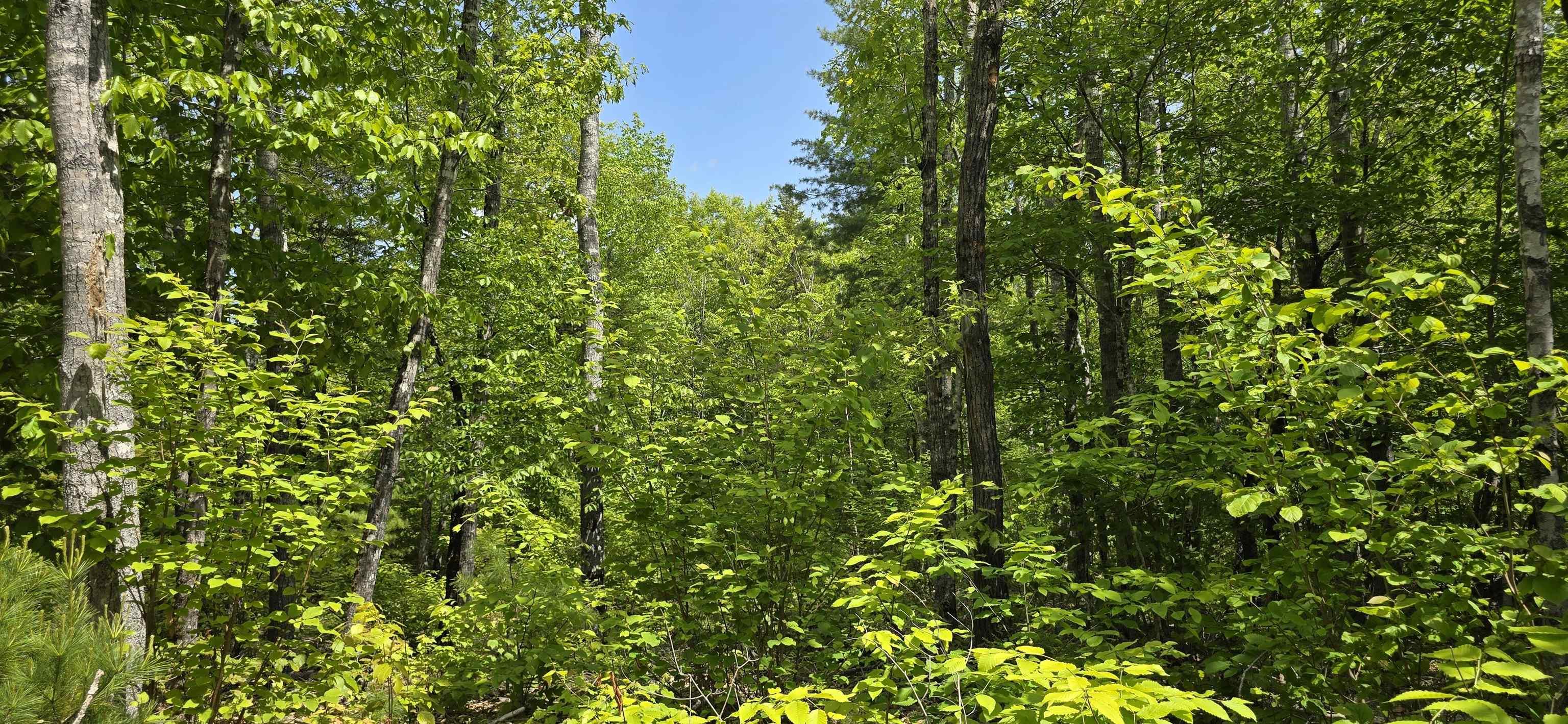 $38,900.00: Lot 24-4 East Clifford Road, East Clifford