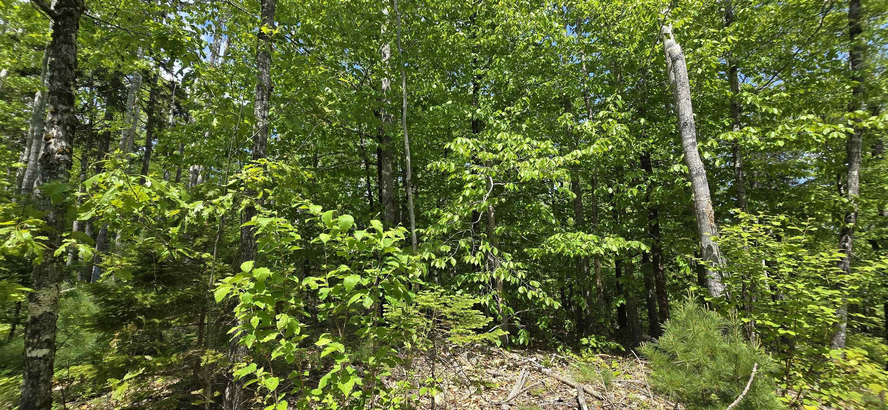 $38,900.00: Lot 24-4 East Clifford Road, East Clifford
